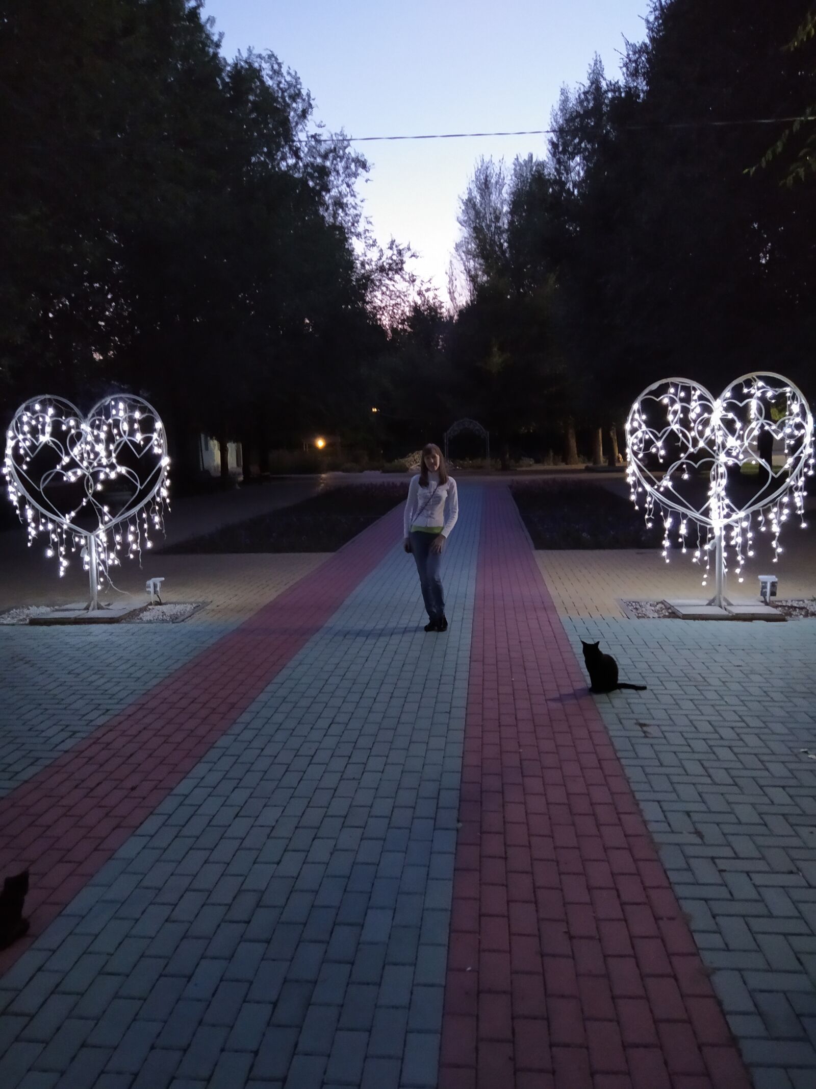 Xiaomi Redmi Note 7 sample photo. Girl, twilight, black cat photography