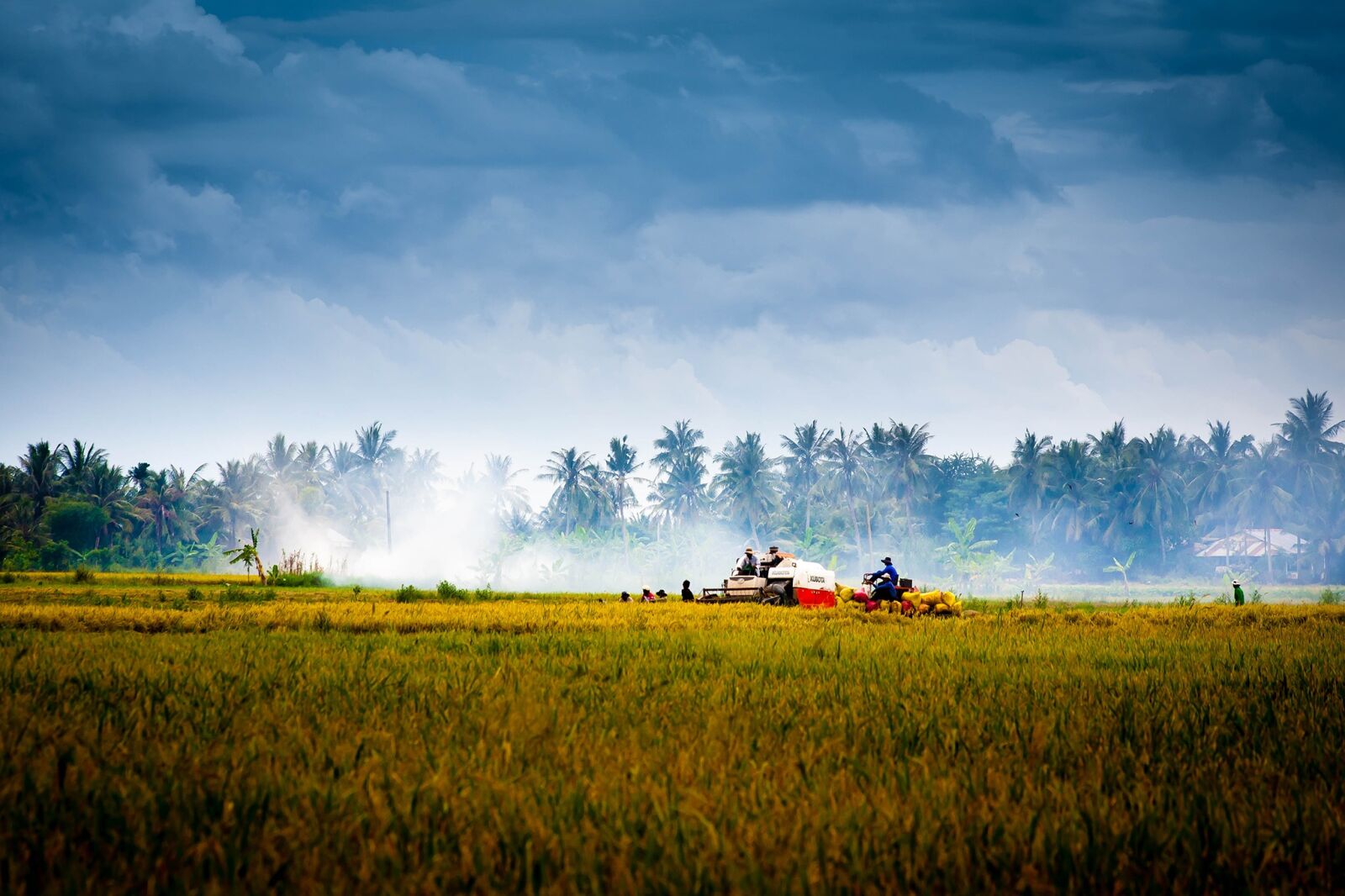 Canon EOS 5D + Canon EF 70-300mm F4-5.6 IS USM sample photo. Vietnam, countryside, harvest photography