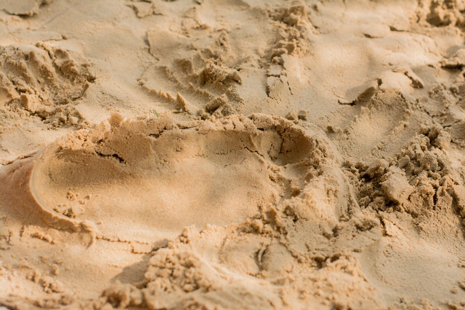 Nikon D5200 sample photo. Sand, footprint, traces photography