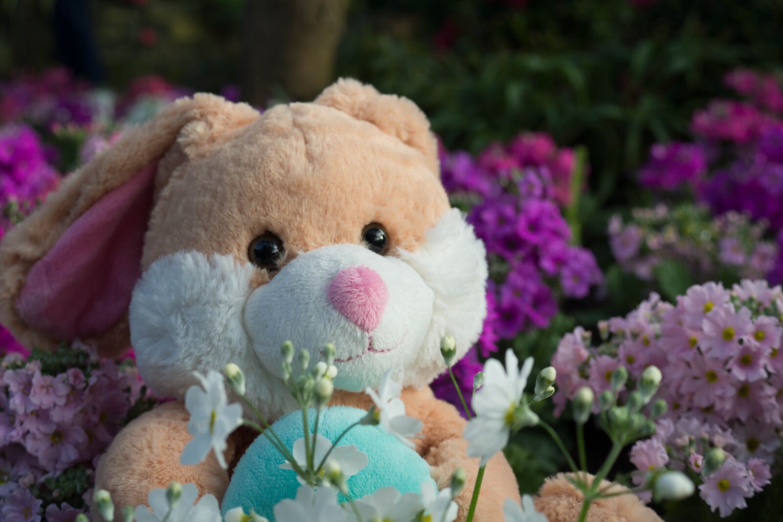 Sony DT 30mm F2.8 Macro SAM sample photo. Easter, bunny, toy photography