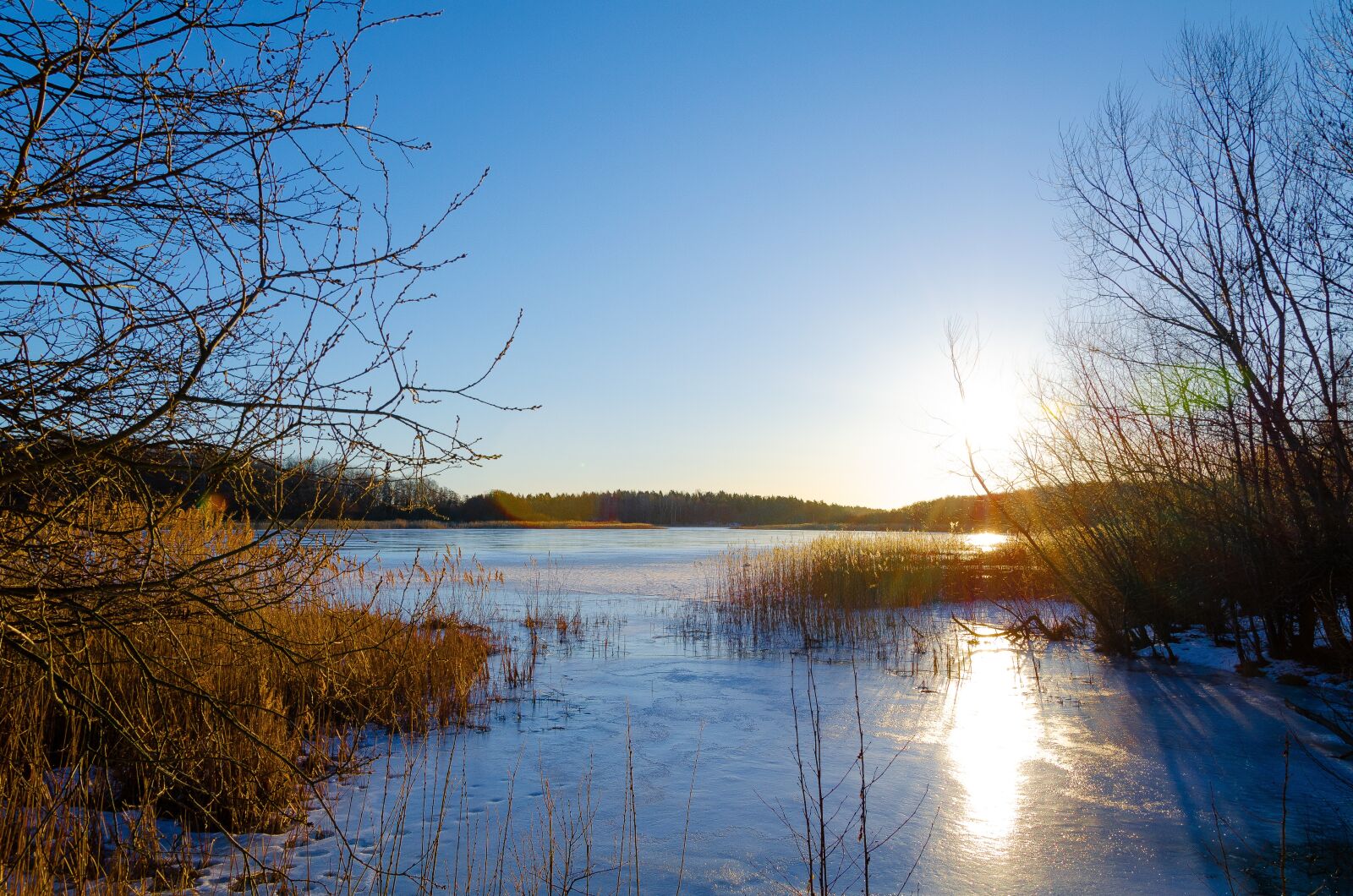 Nikon D5100 sample photo. Sunrise, winter, spring photography