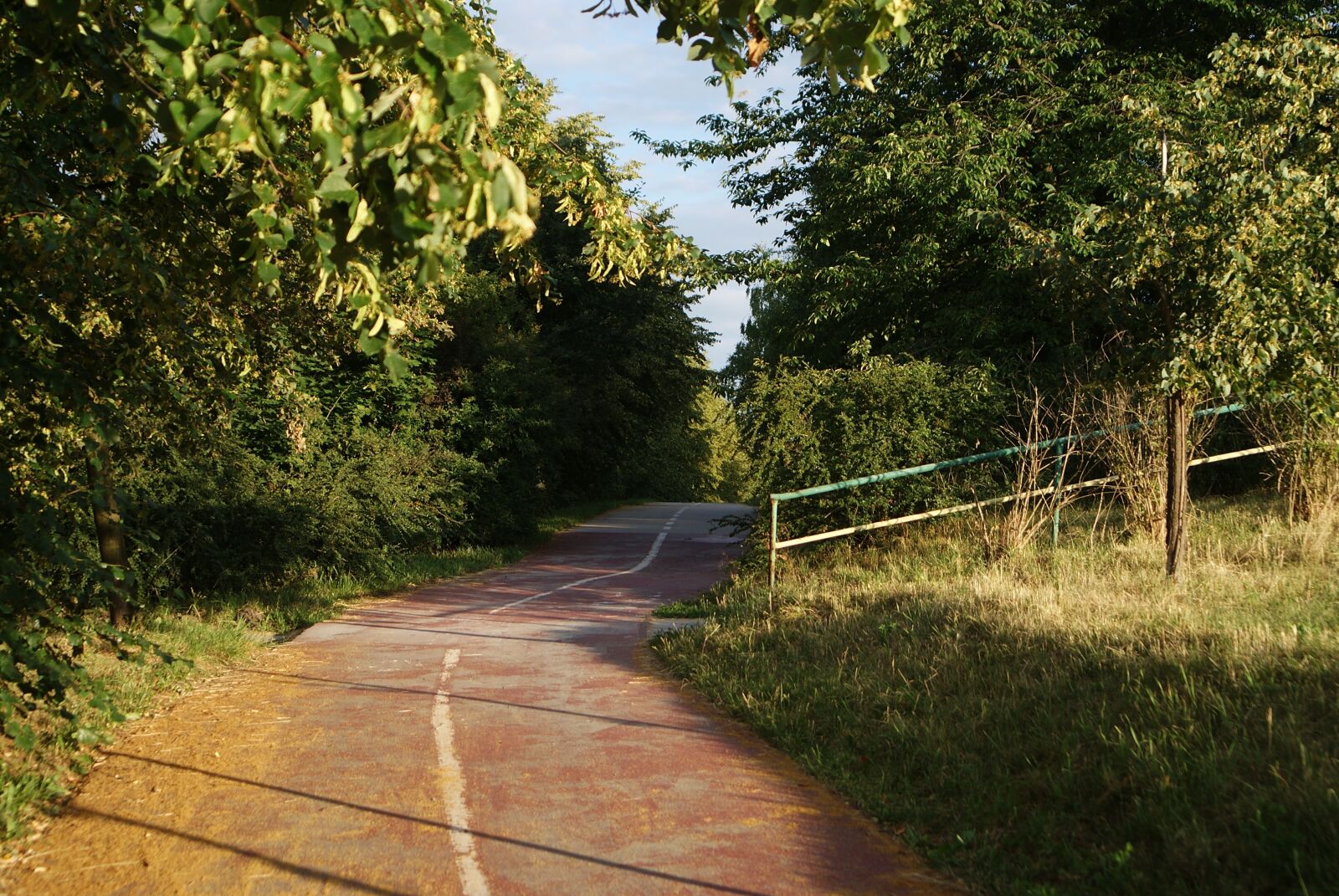 Sony Alpha DSLR-A200 sample photo. Way, nature, landscape photography