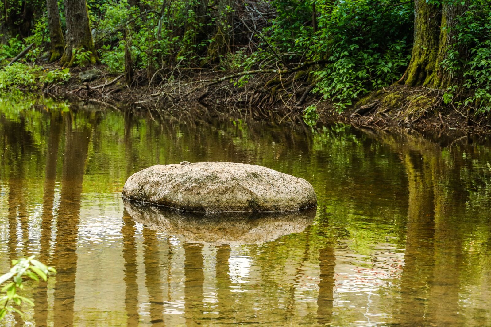 Canon EOS R sample photo. River, reflection, water photography