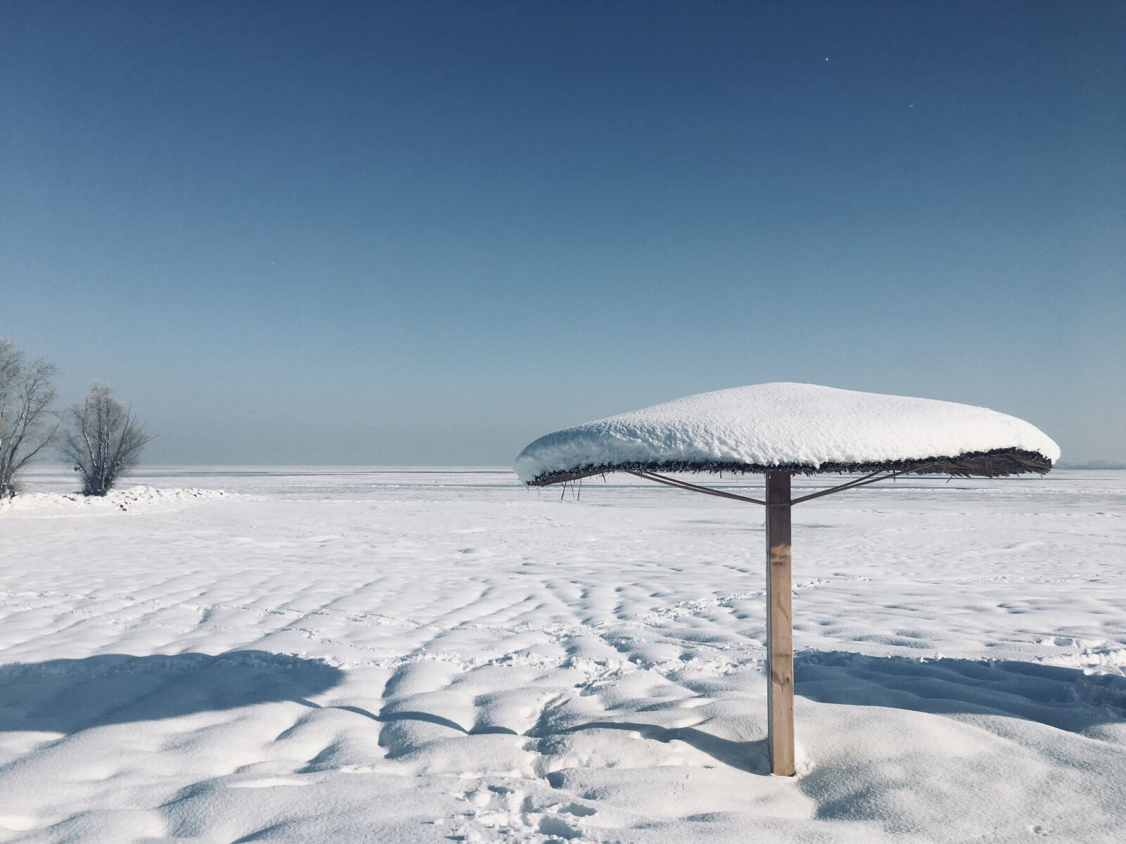 iPhone 6s Plus back camera 4.15mm f/2.2 sample photo. Winter, nature, sky photography