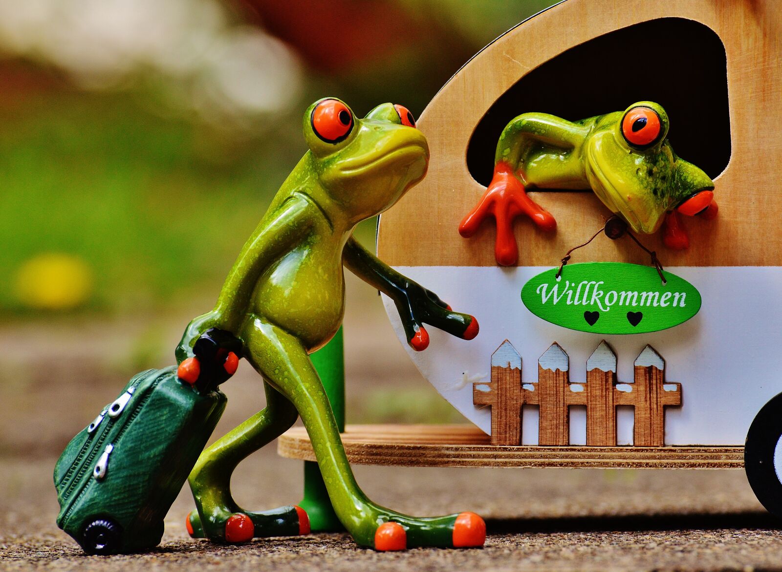 Nikon D3200 sample photo. Frogs, caravan, funny photography