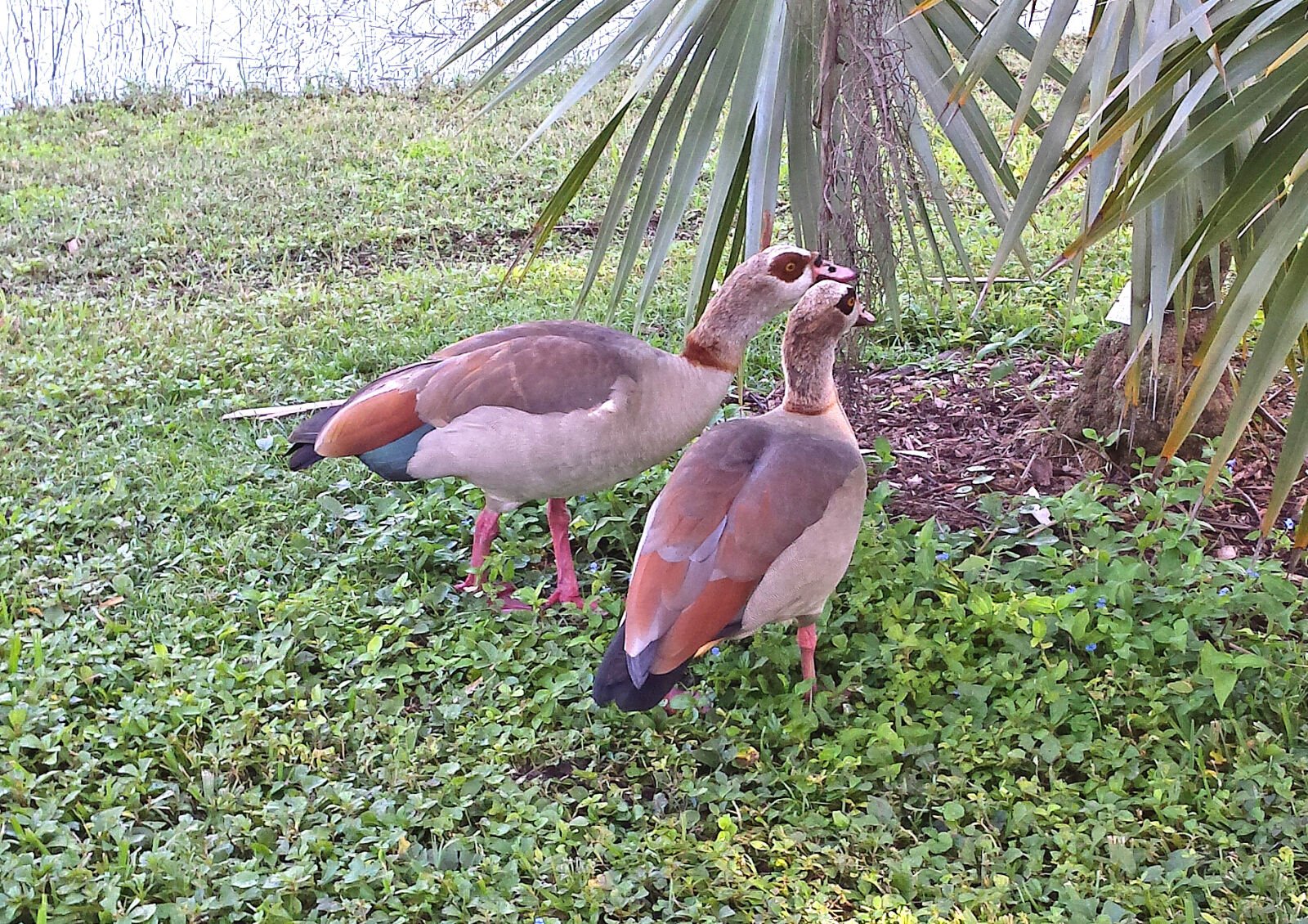 Samsung Galaxy S4 sample photo