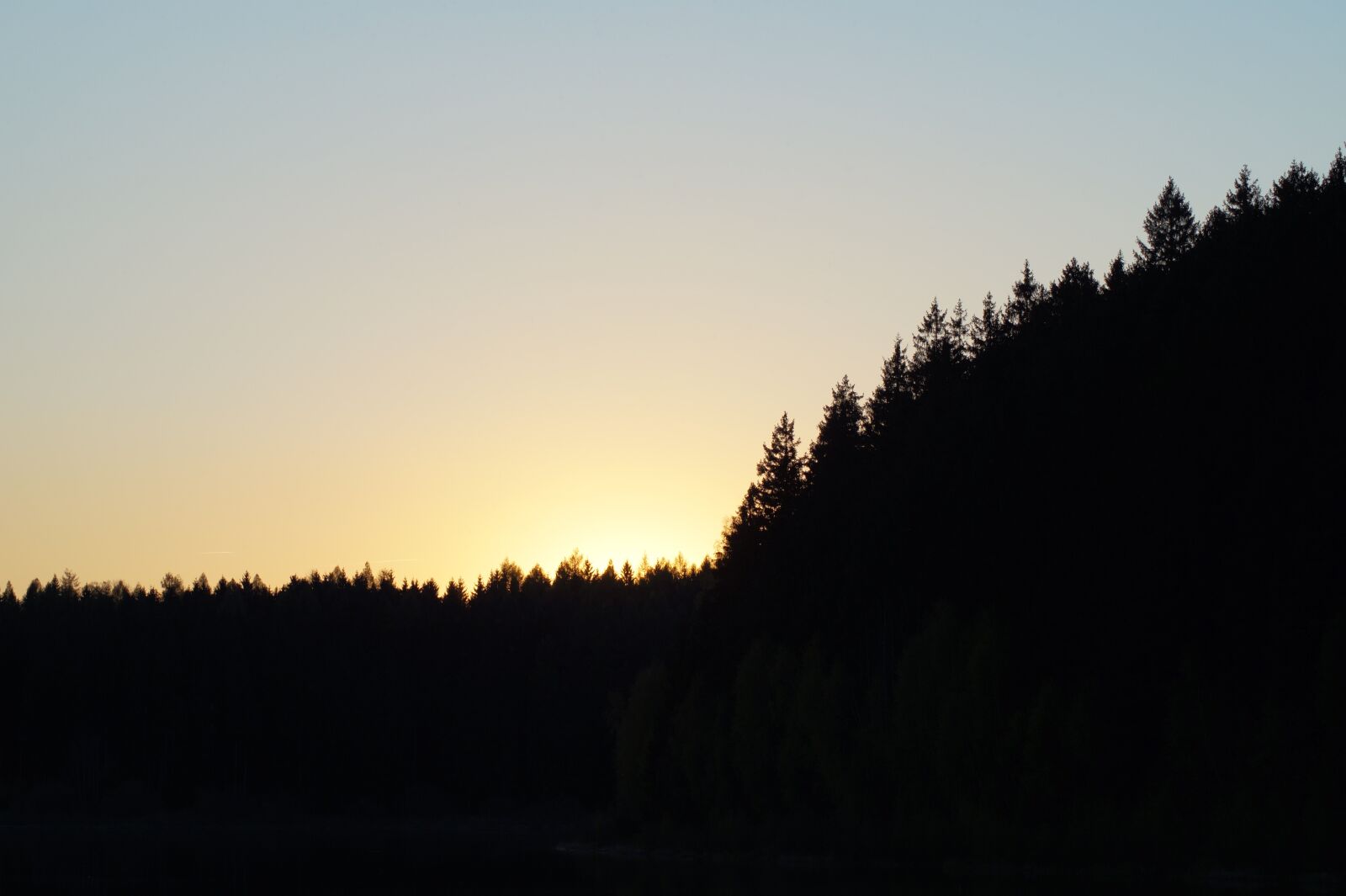 Sony SLT-A58 sample photo. Forest, sunset, summer photography