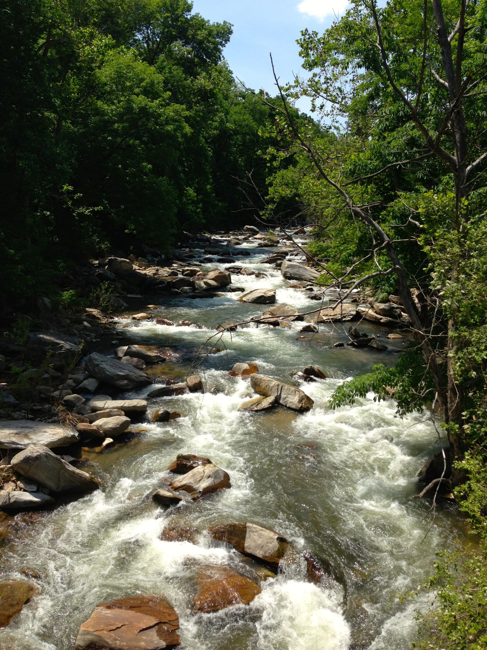 Apple iPhone 5 sample photo. Dupont forest, river, flowing photography