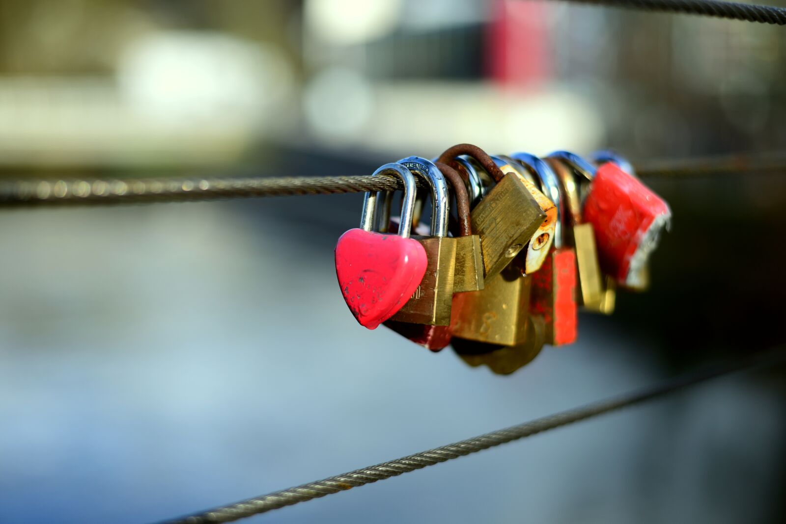 Nikon D610 sample photo. Love locks, metal, love photography
