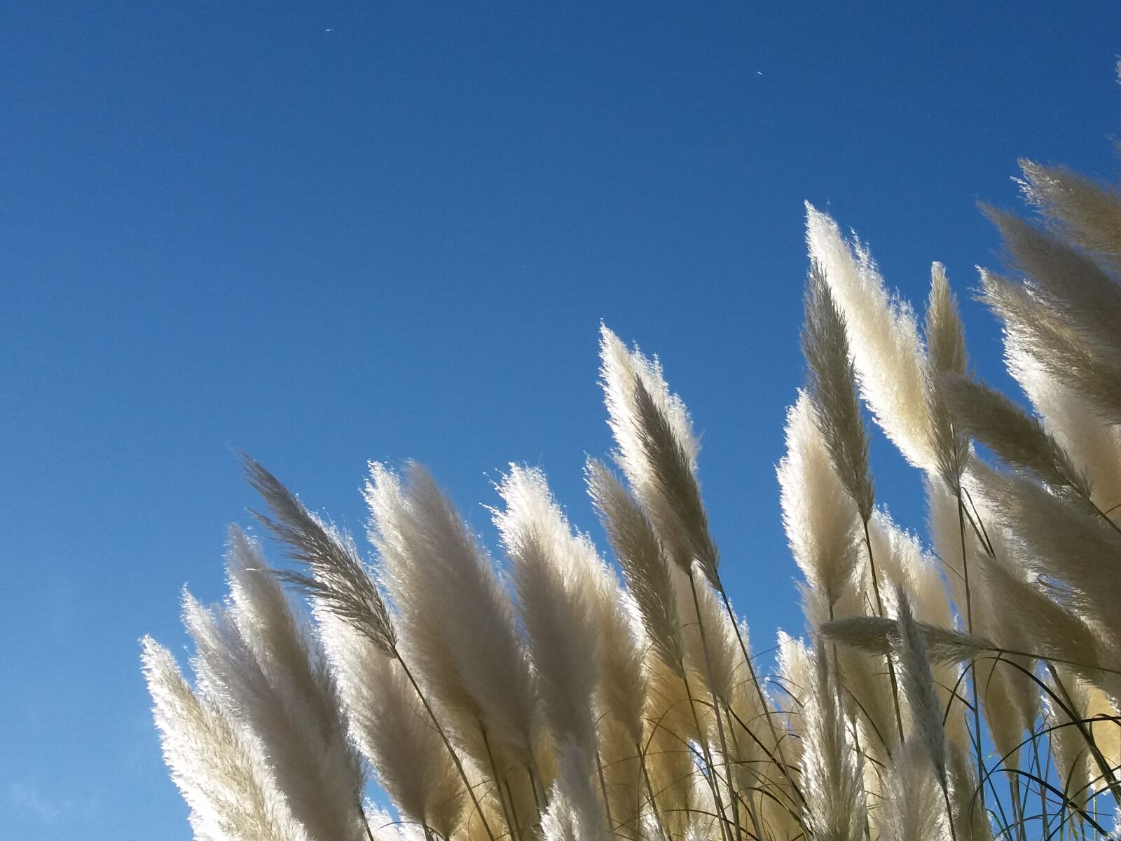 Samsung Galaxy J5 sample photo. Sky, spikes, light photography