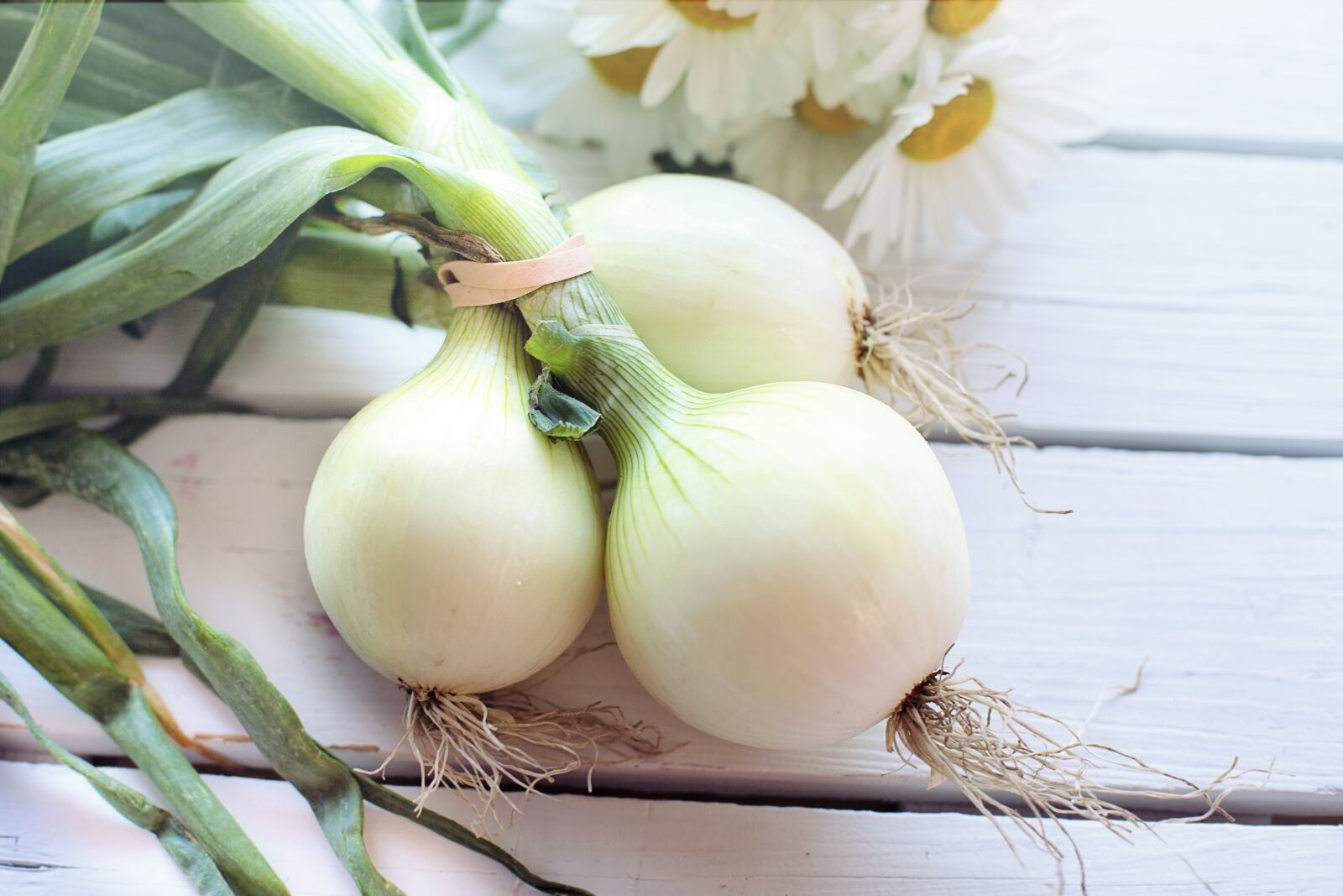 Canon EF 50mm F1.4 USM sample photo. Vegetable, onions, food photography