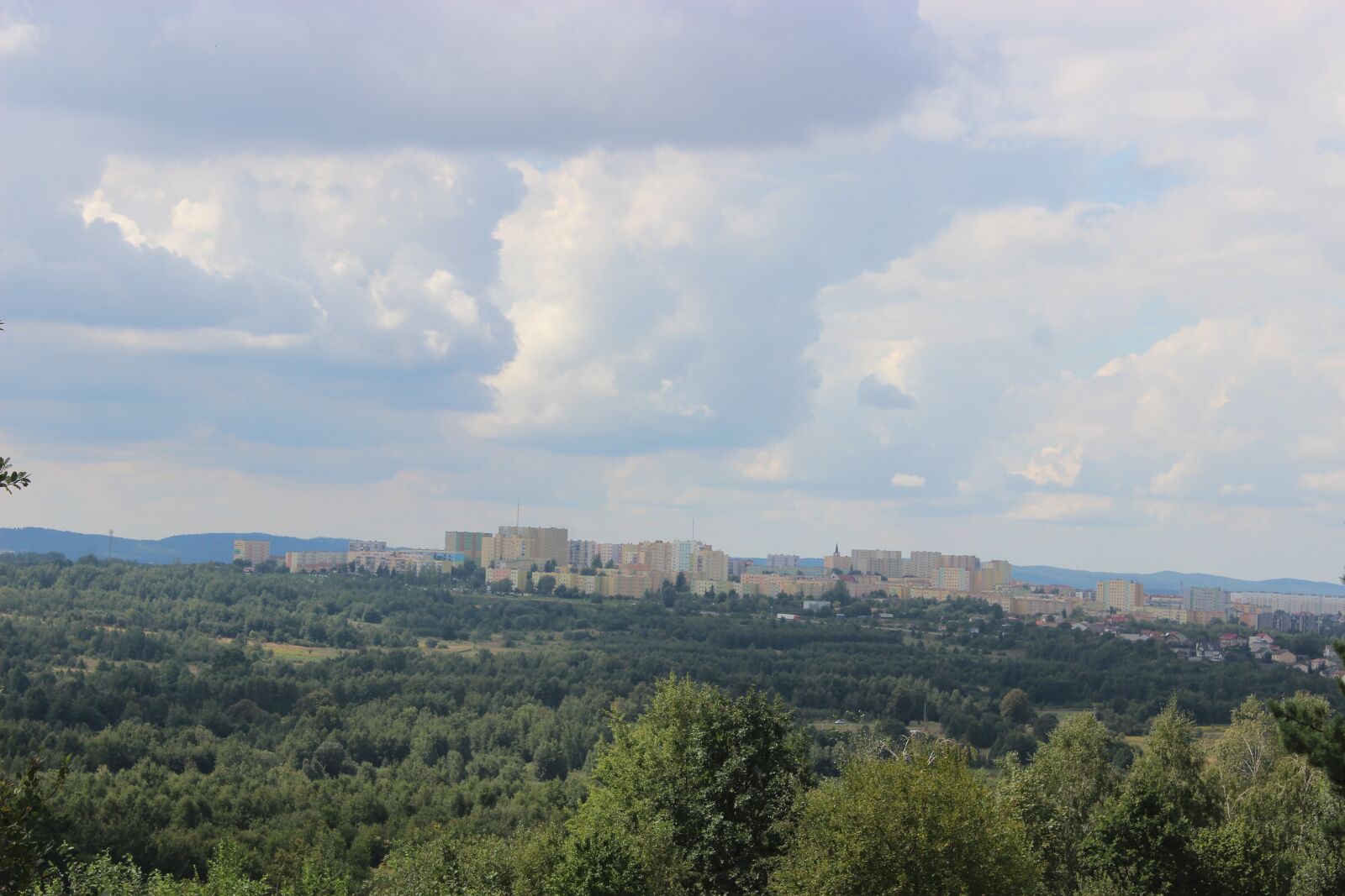 Canon EOS 600D (Rebel EOS T3i / EOS Kiss X5) sample photo. Panorama, forest, landscape photography