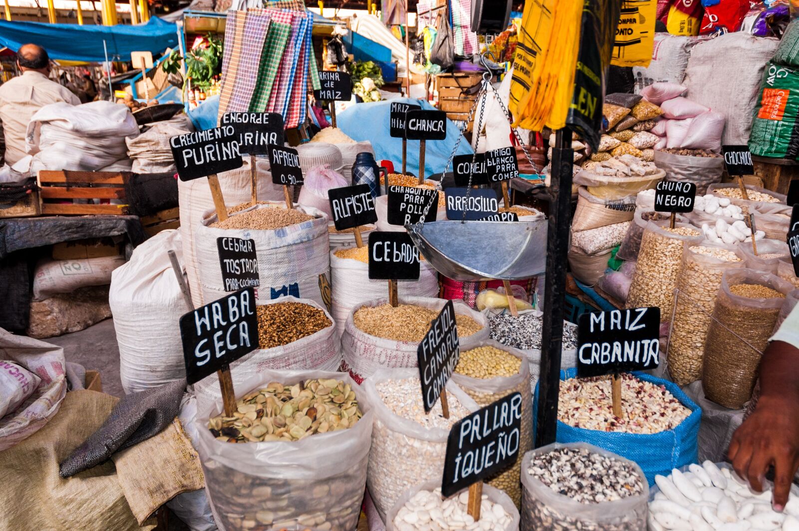 Nikon D70 sample photo. Grain, wheat, nuts photography