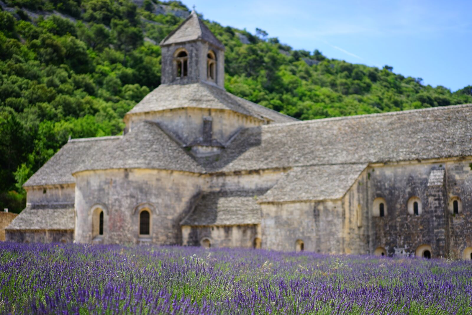 Sony a7 + Sony Sonnar T* FE 55mm F1.8 ZA sample photo. Abbaye de s nanque photography