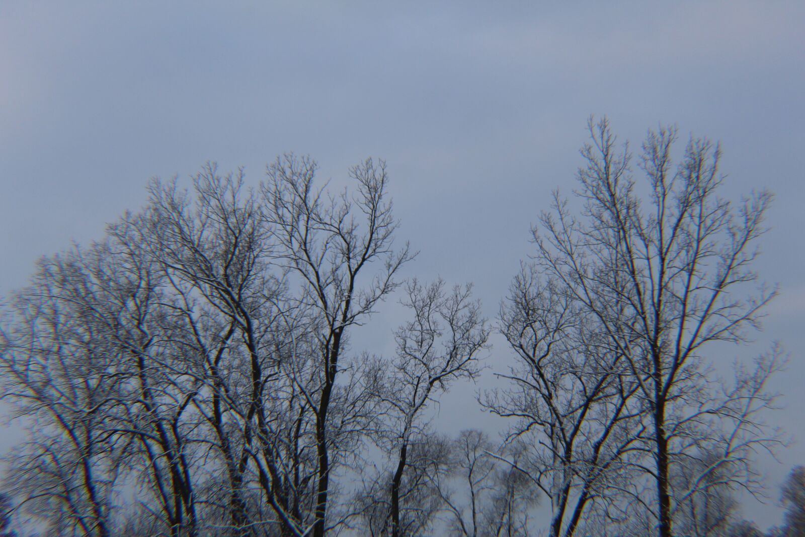 Canon EOS 1300D (EOS Rebel T6 / EOS Kiss X80) sample photo. Michigan winter, white, snow photography