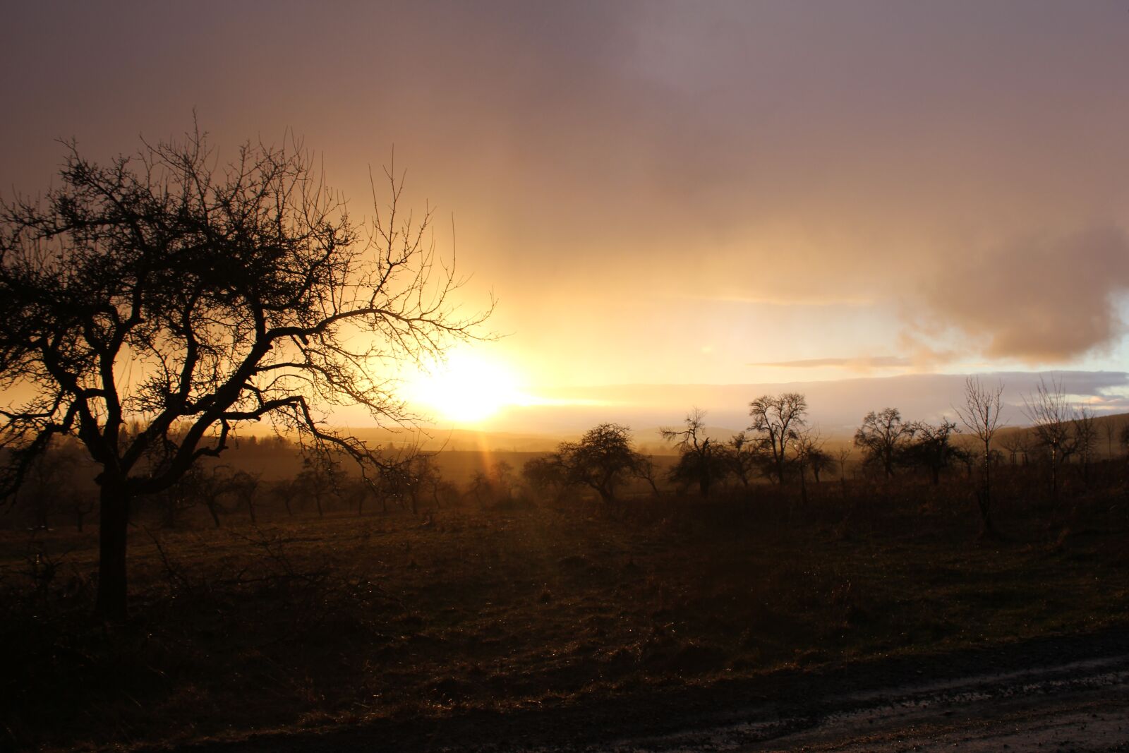 Canon EOS 550D (EOS Rebel T2i / EOS Kiss X4) sample photo. Shiny, golden, hdr photography