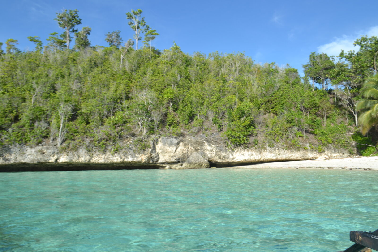 Nikon D3100 sample photo