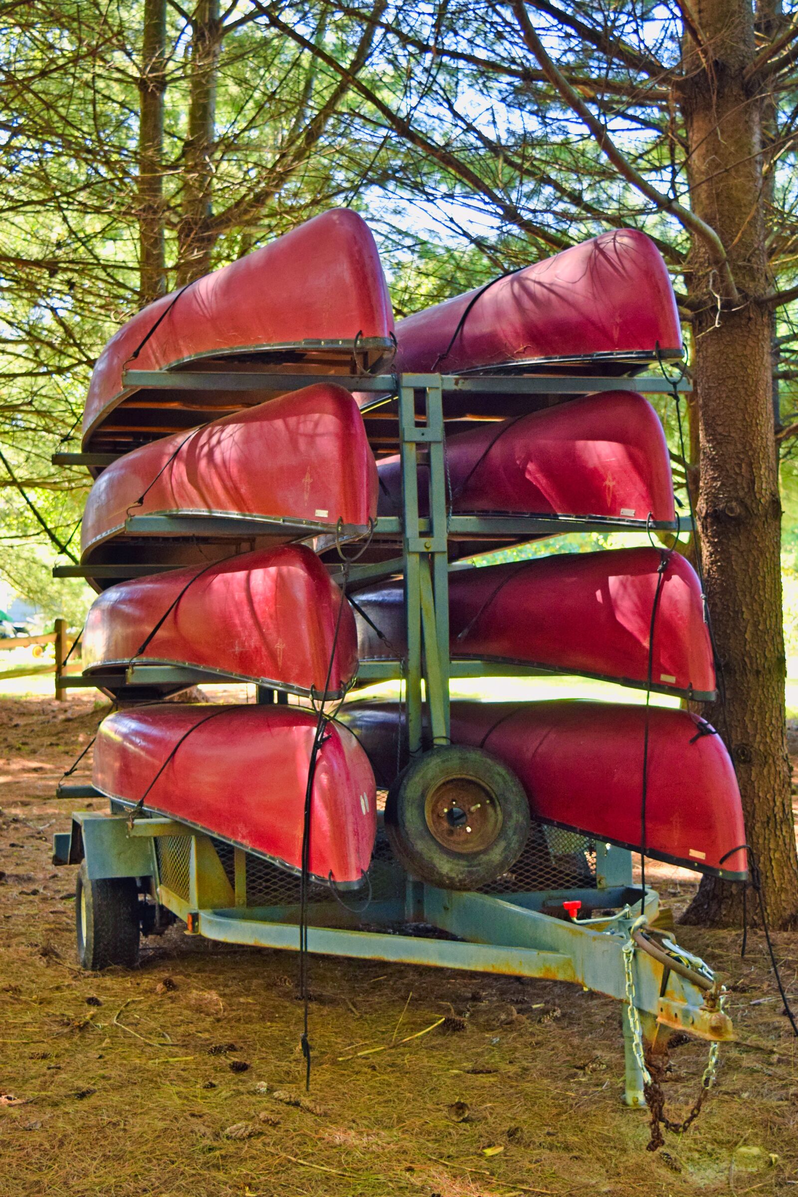 Nikon D3300 sample photo. Canoes, red, leisure photography