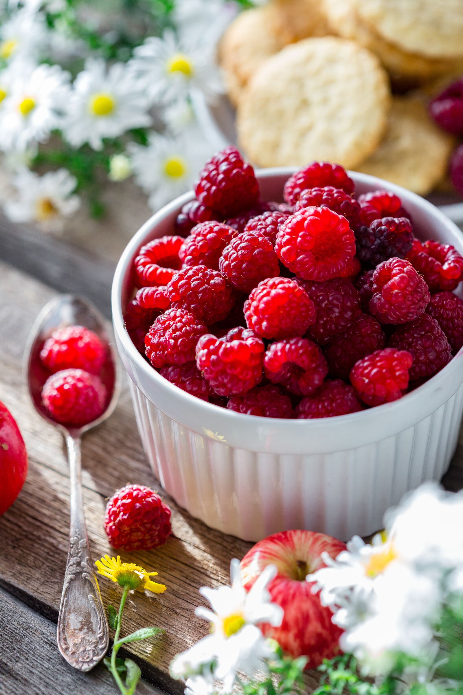 Canon EF 100mm F2.8 Macro USM sample photo. Raspberry, berry, ripe photography