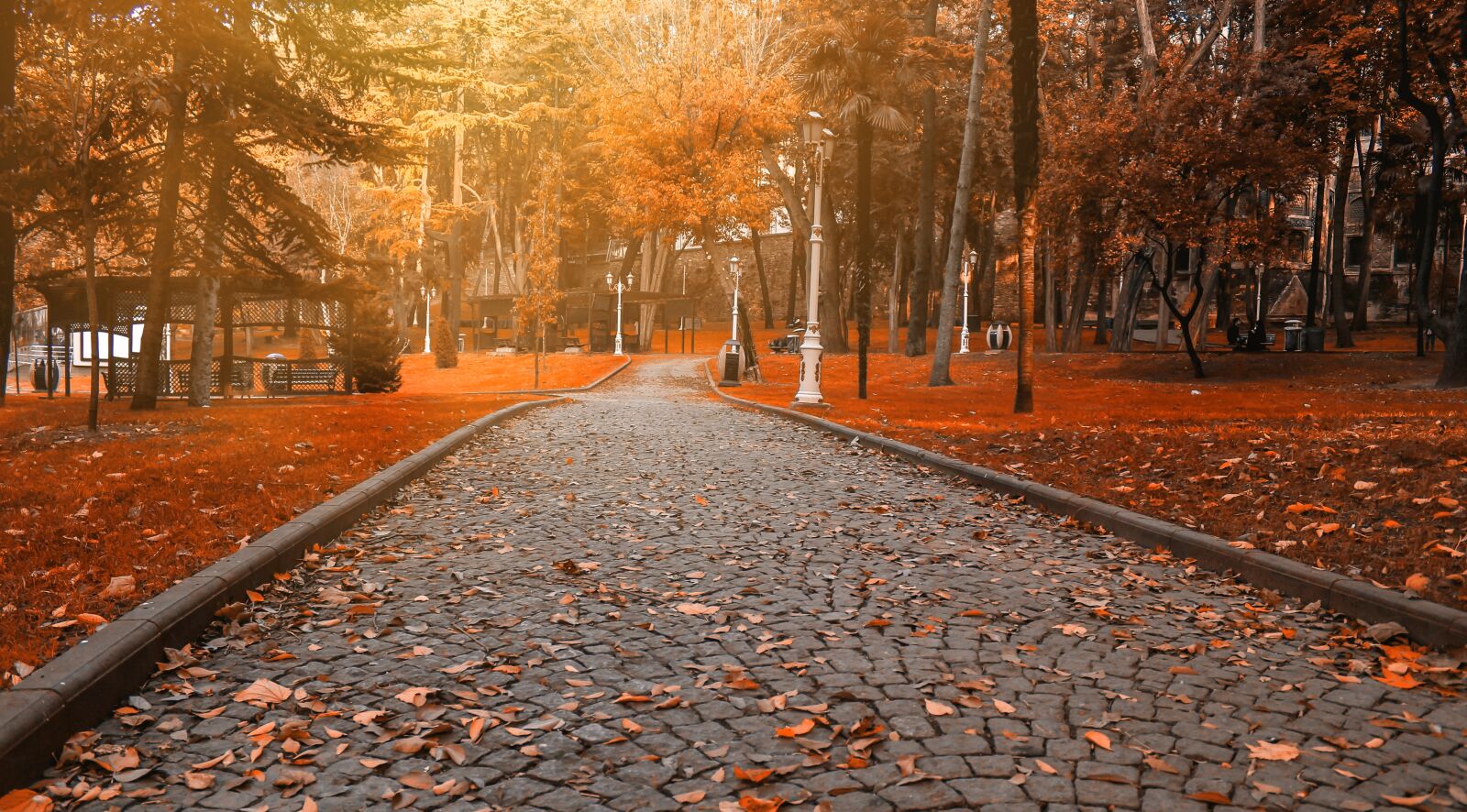 Canon EOS 700D (EOS Rebel T5i / EOS Kiss X7i) sample photo. Road, path, park photography