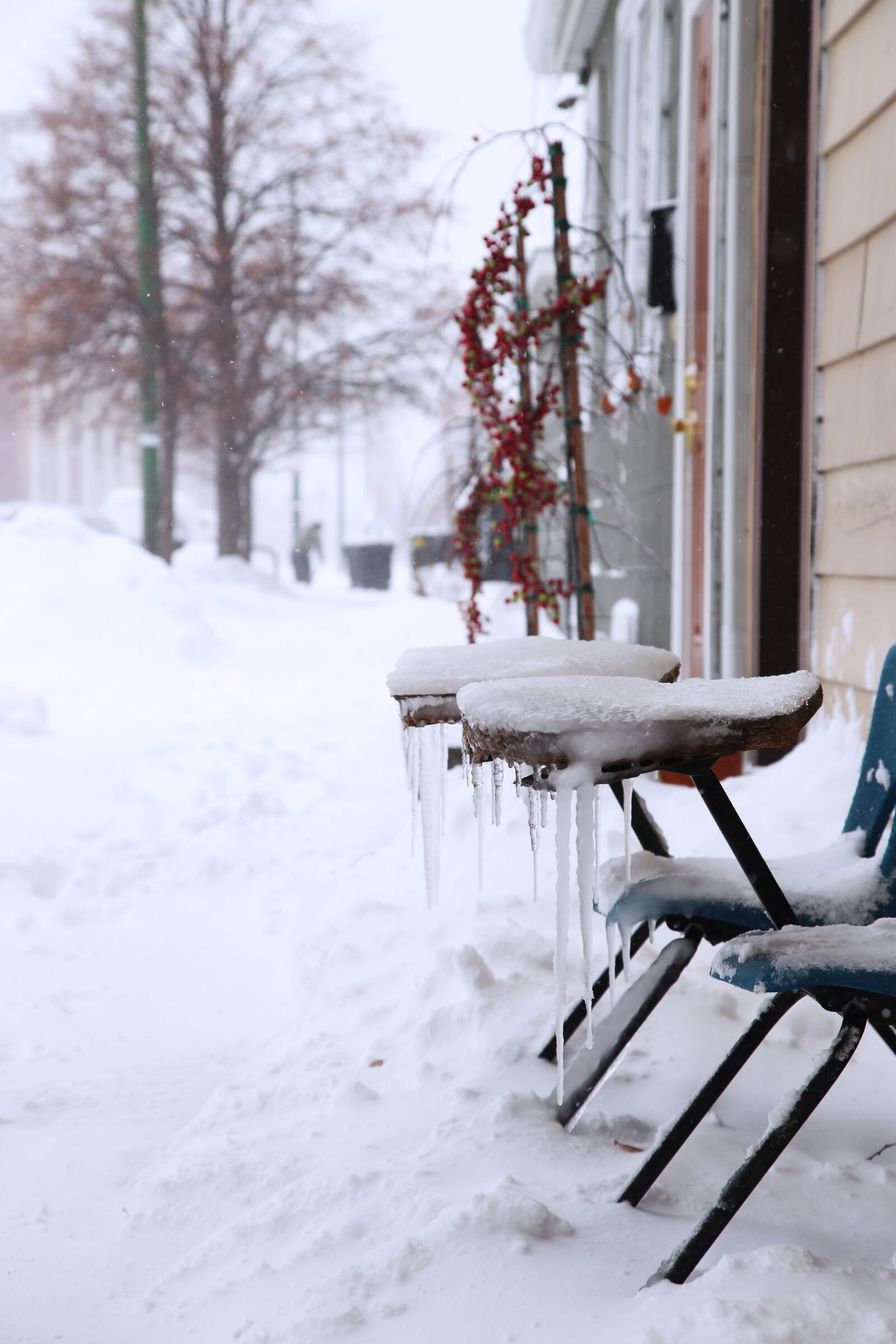 Canon EOS 6D + Canon EF 24-105mm F4L IS USM sample photo. Chicago, city, winter photography
