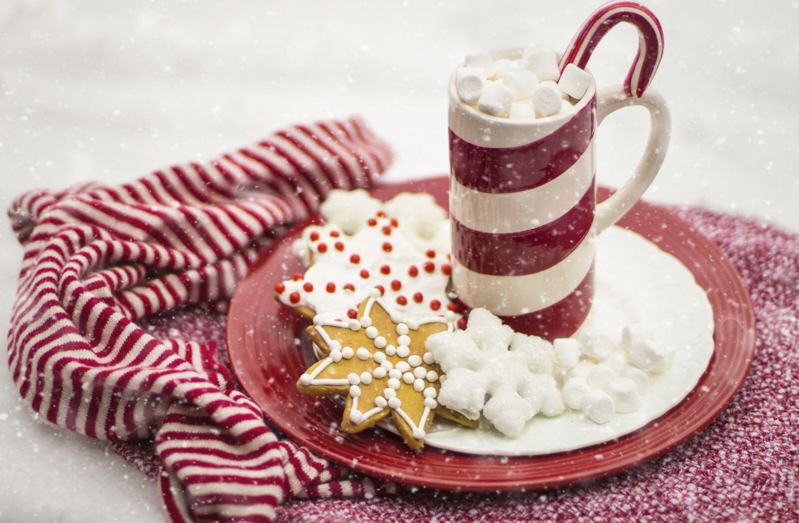 Canon EF 50mm F1.4 USM sample photo. Candy cane, hot chocolate photography
