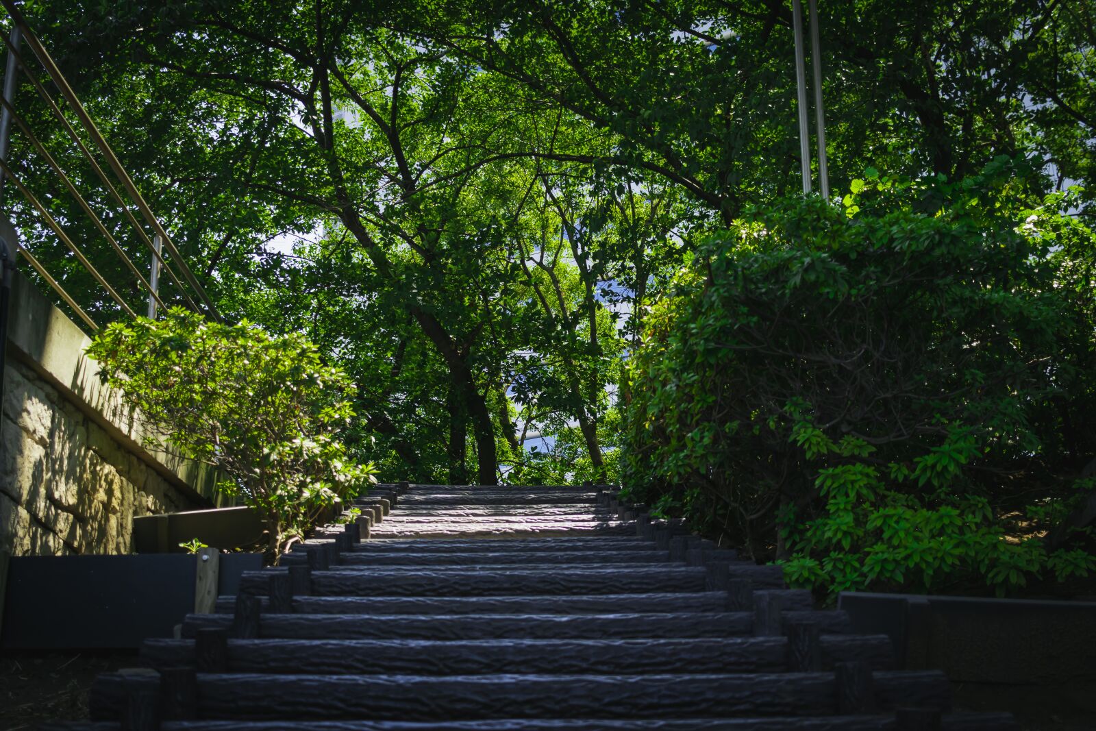 Canon EOS 80D + Canon EF-S 24mm F2.8 STM sample photo. Stairs, summer, natural photography