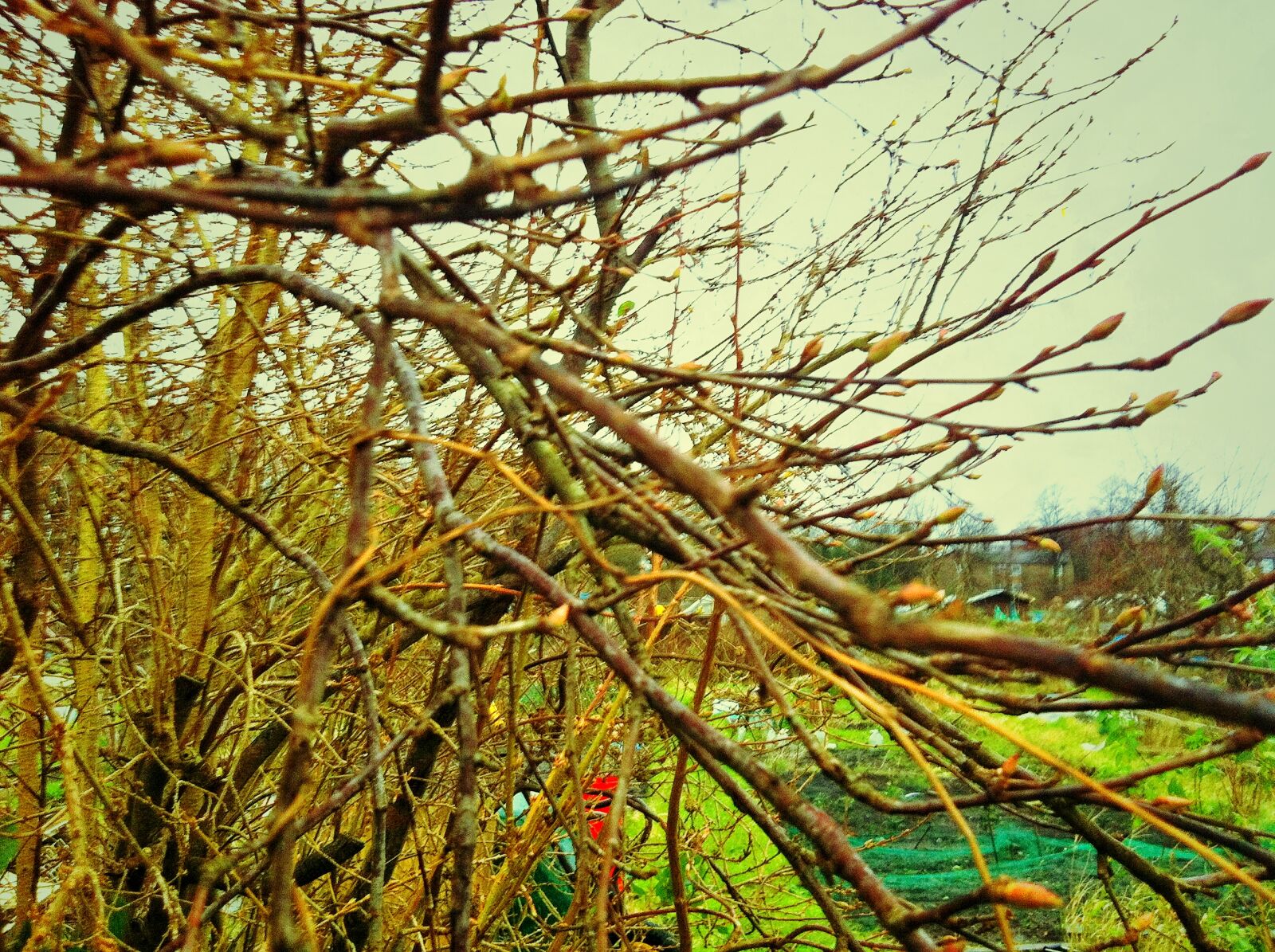 Apple iPhone 4 sample photo