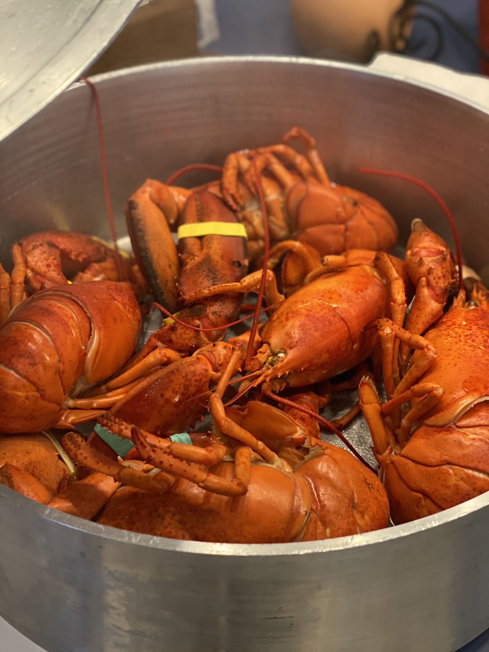 Apple iPhone 11 Pro Max + iPhone 11 Pro Max back dual camera 6mm f/2 sample photo. Lobster, pot, cooking photography
