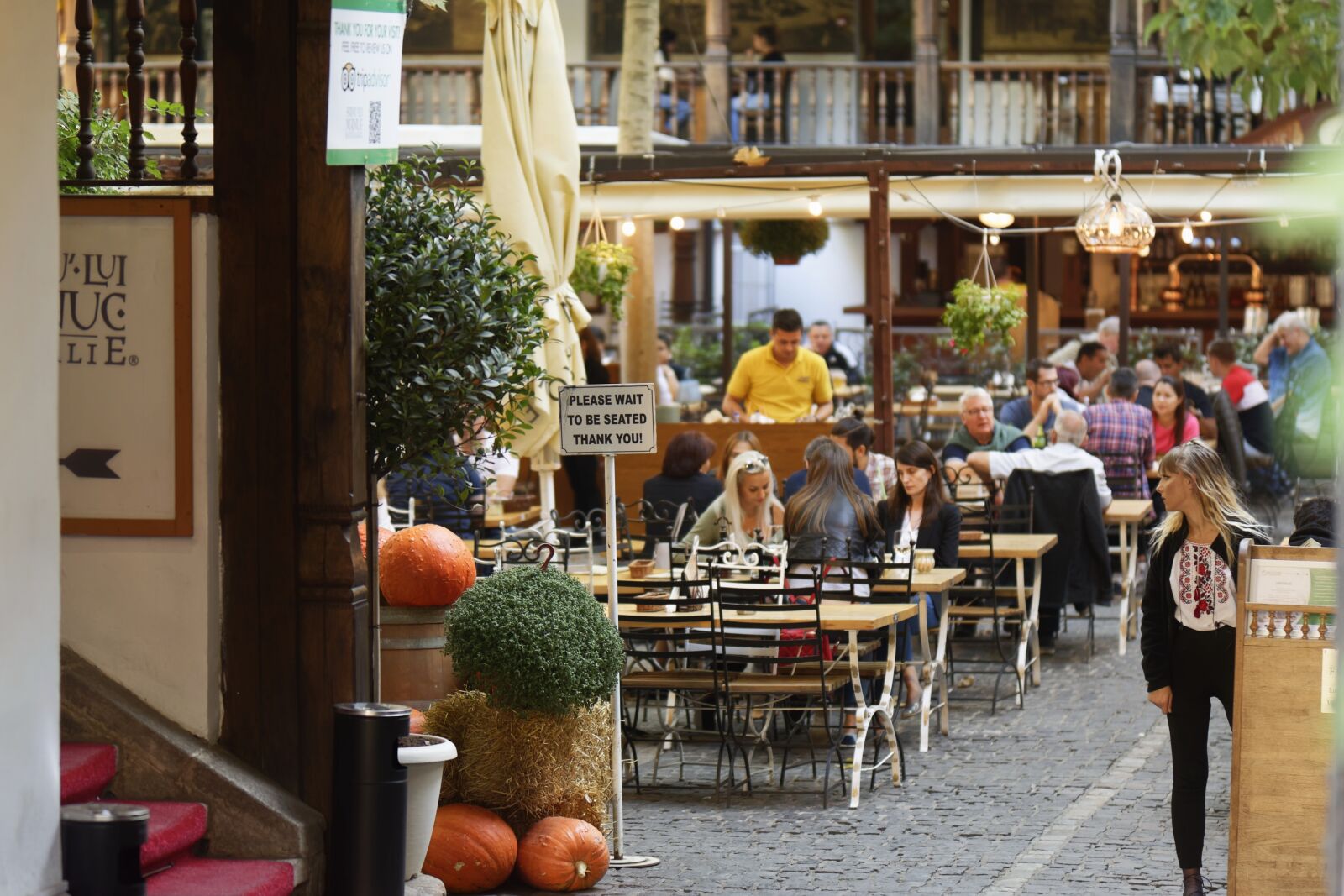 Nikon D5300 sample photo. Restaurant, terrace, the inn photography