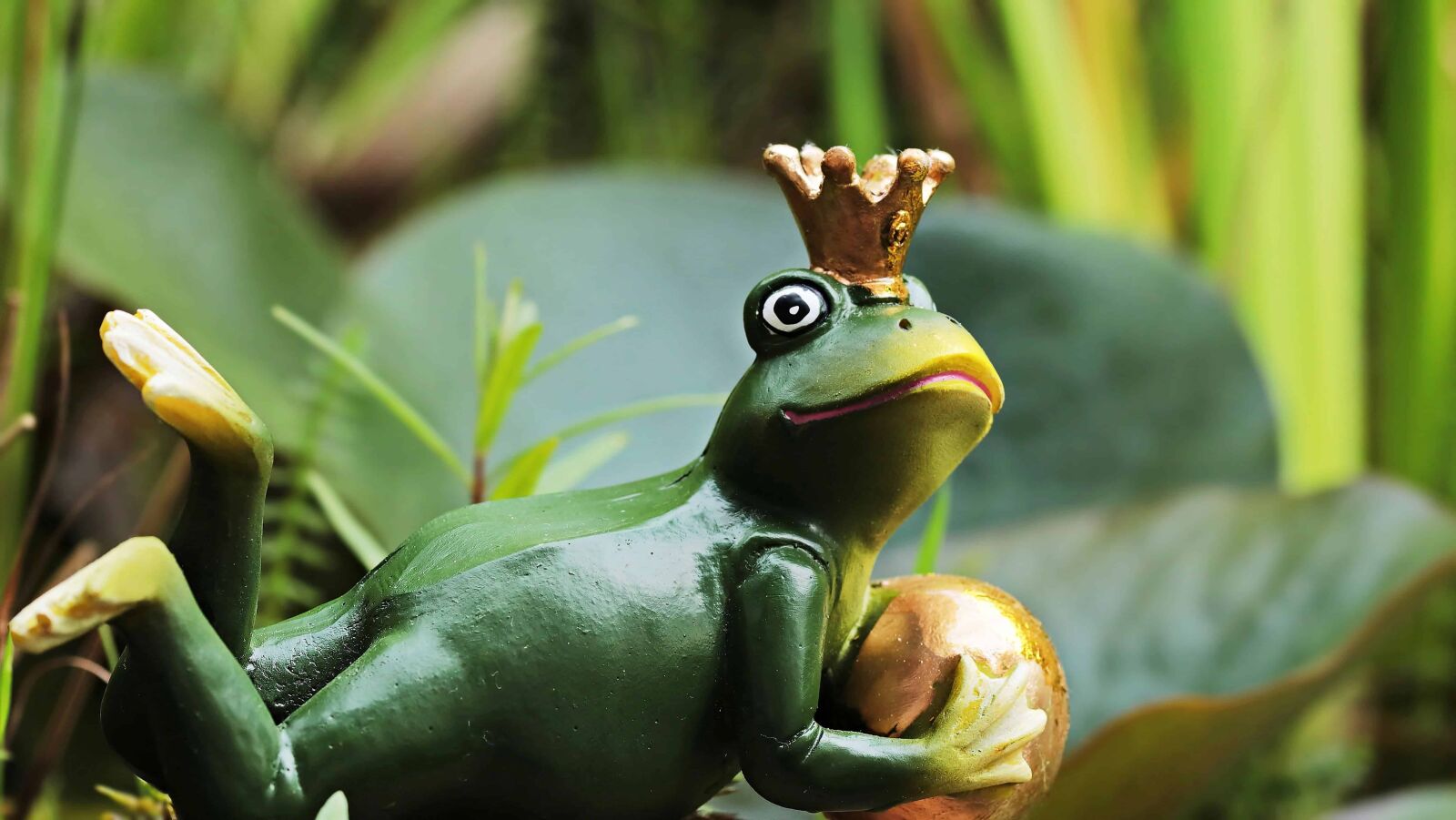 Canon EOS 80D sample photo. Toy, object, frog, amphibian photography
