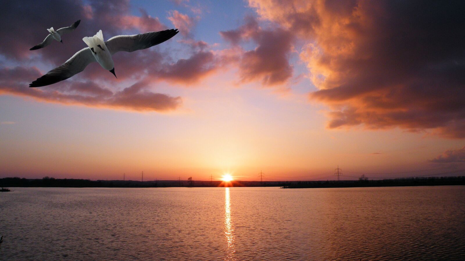 Fujifilm FinePix S8100fd sample photo. Landscape, sunset, bird photography