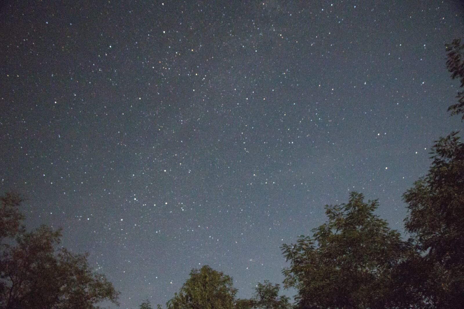 Canon EOS 70D sample photo. Night sky, the sky photography