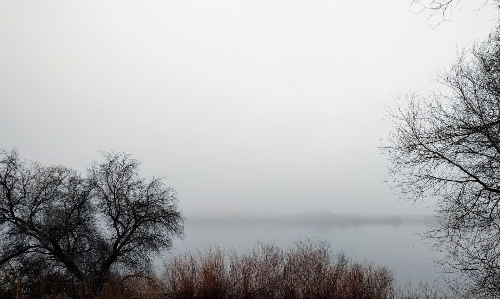 LG Nexus 5X sample photo. Fog, mist, winter photography