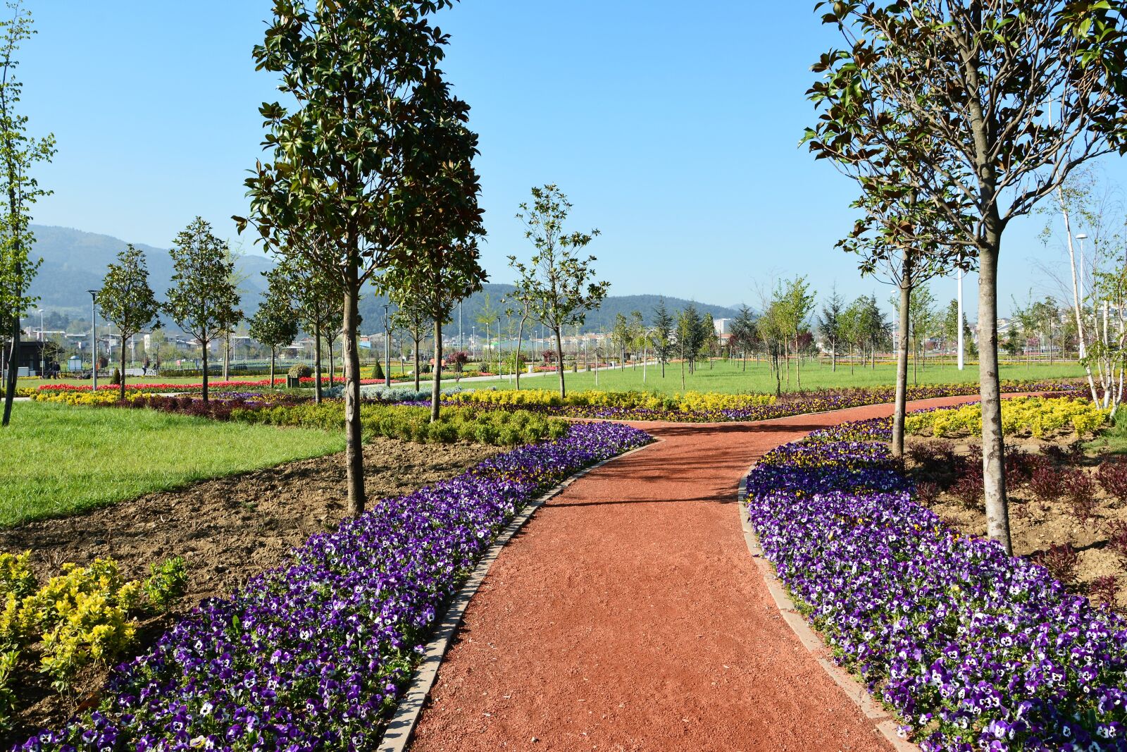 Nikon D7100 sample photo. Park, flower, nature photography