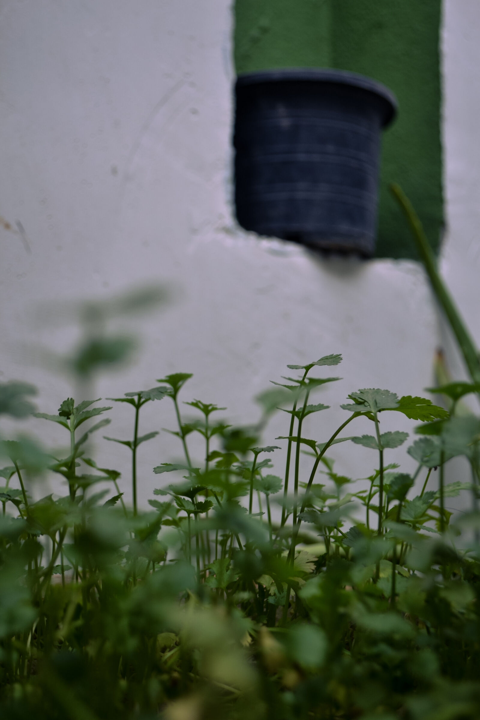 Nikon D3100 sample photo