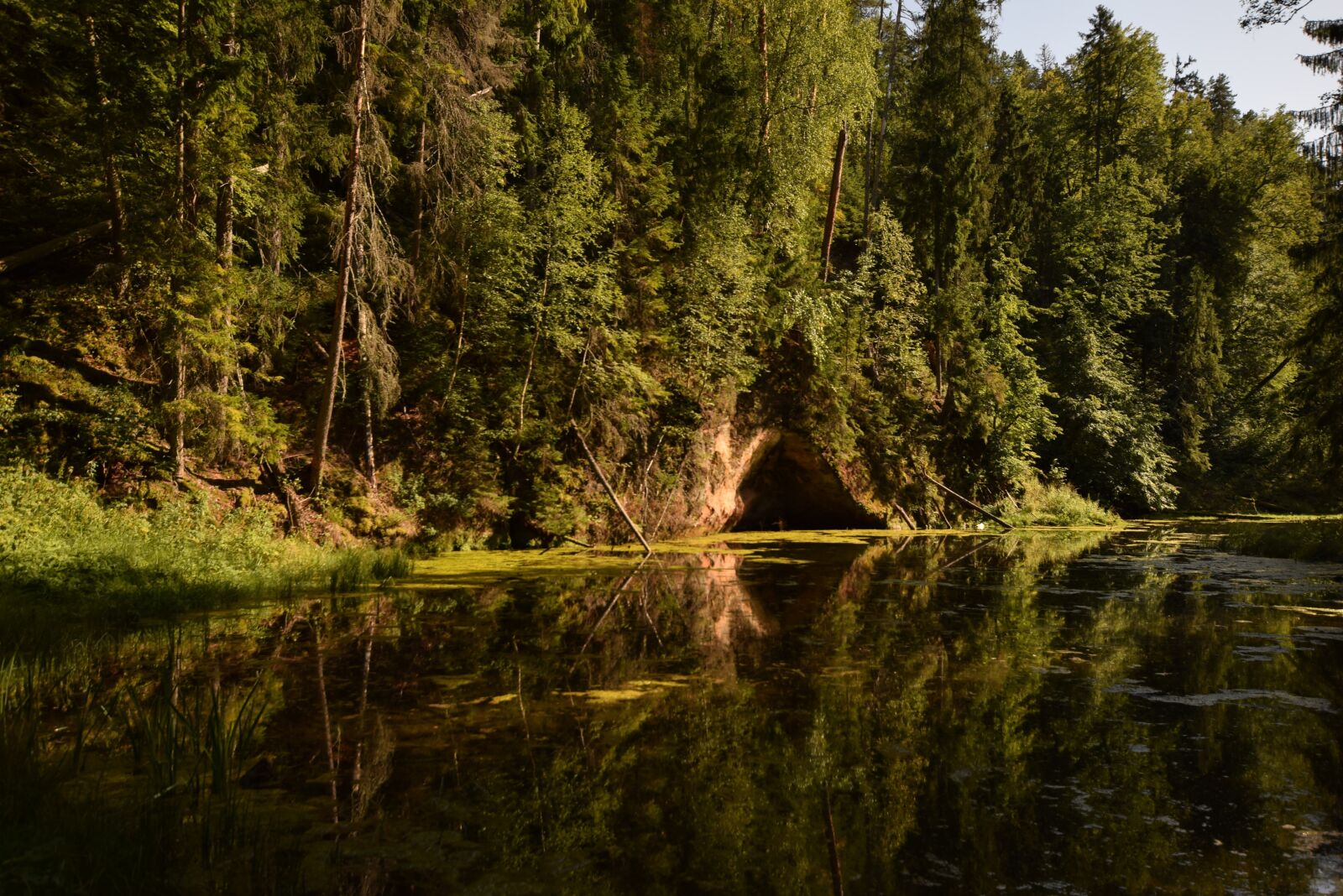 Nikon D3300 sample photo. Nature, latvia, national park photography