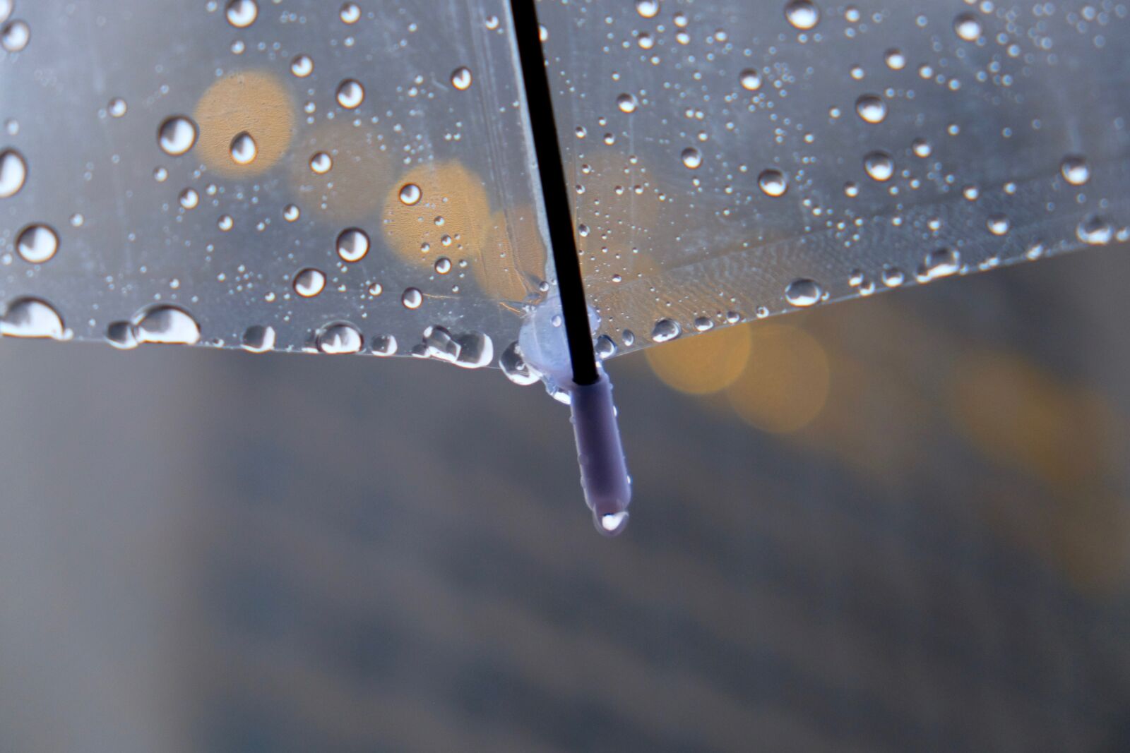 Fujifilm X-T10 sample photo. Rain, umbrella, water drop photography