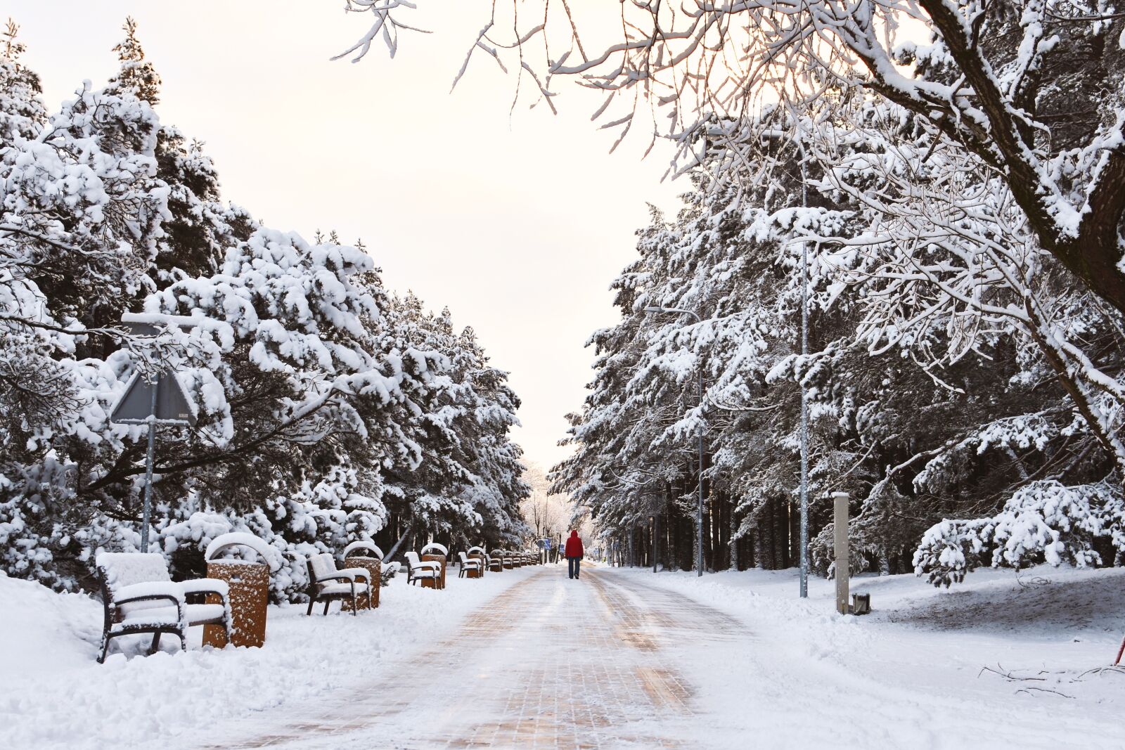 Nikon D7200 sample photo. Awakening, winter morning, wintry photography