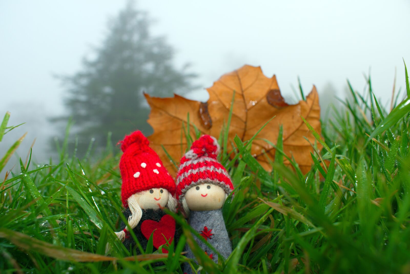 Nikon D3300 sample photo. Lost in the fog photography