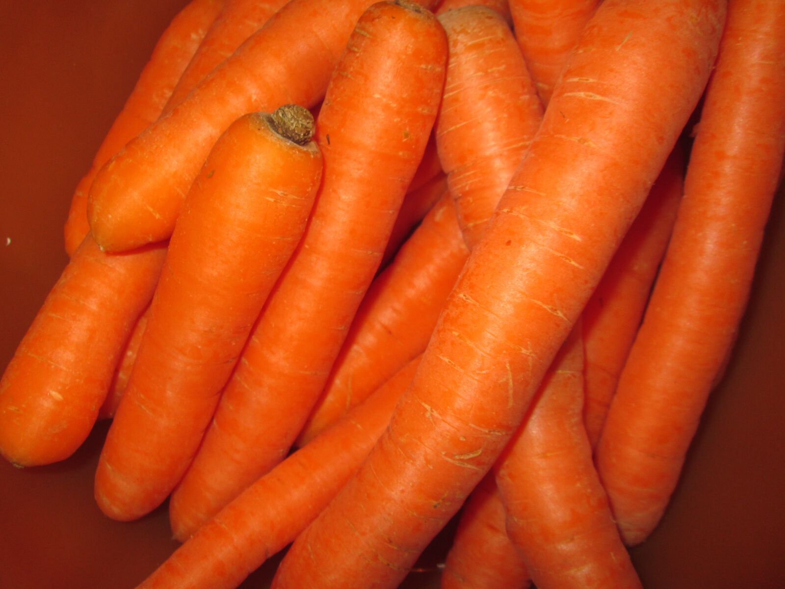 Canon PowerShot A2400 IS sample photo. Carrots, vegetables, food photography