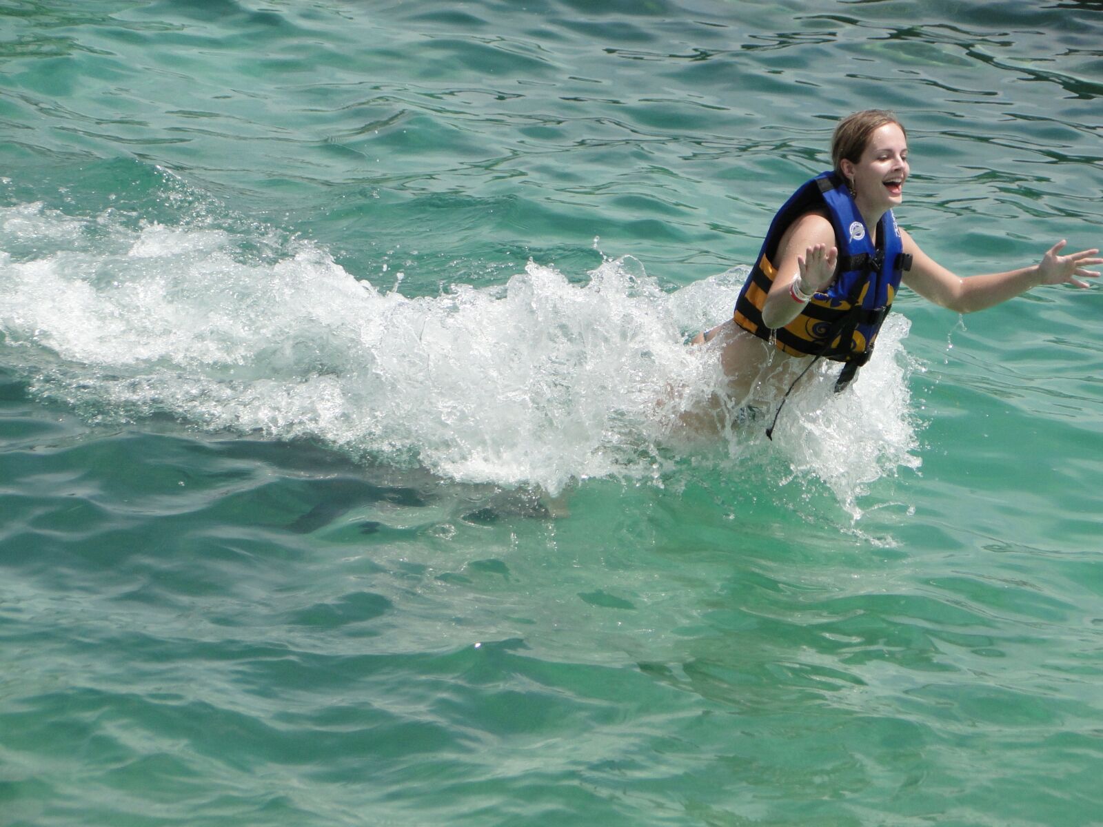 Sony Cyber-shot DSC-HX1 sample photo. Dolphin, treading water, swimming photography