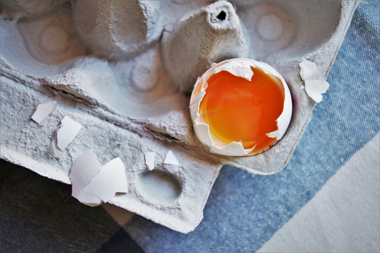 Tamron 16-300mm F3.5-6.3 Di II VC PZD Macro sample photo. Eggs, eggshell, the yolk photography