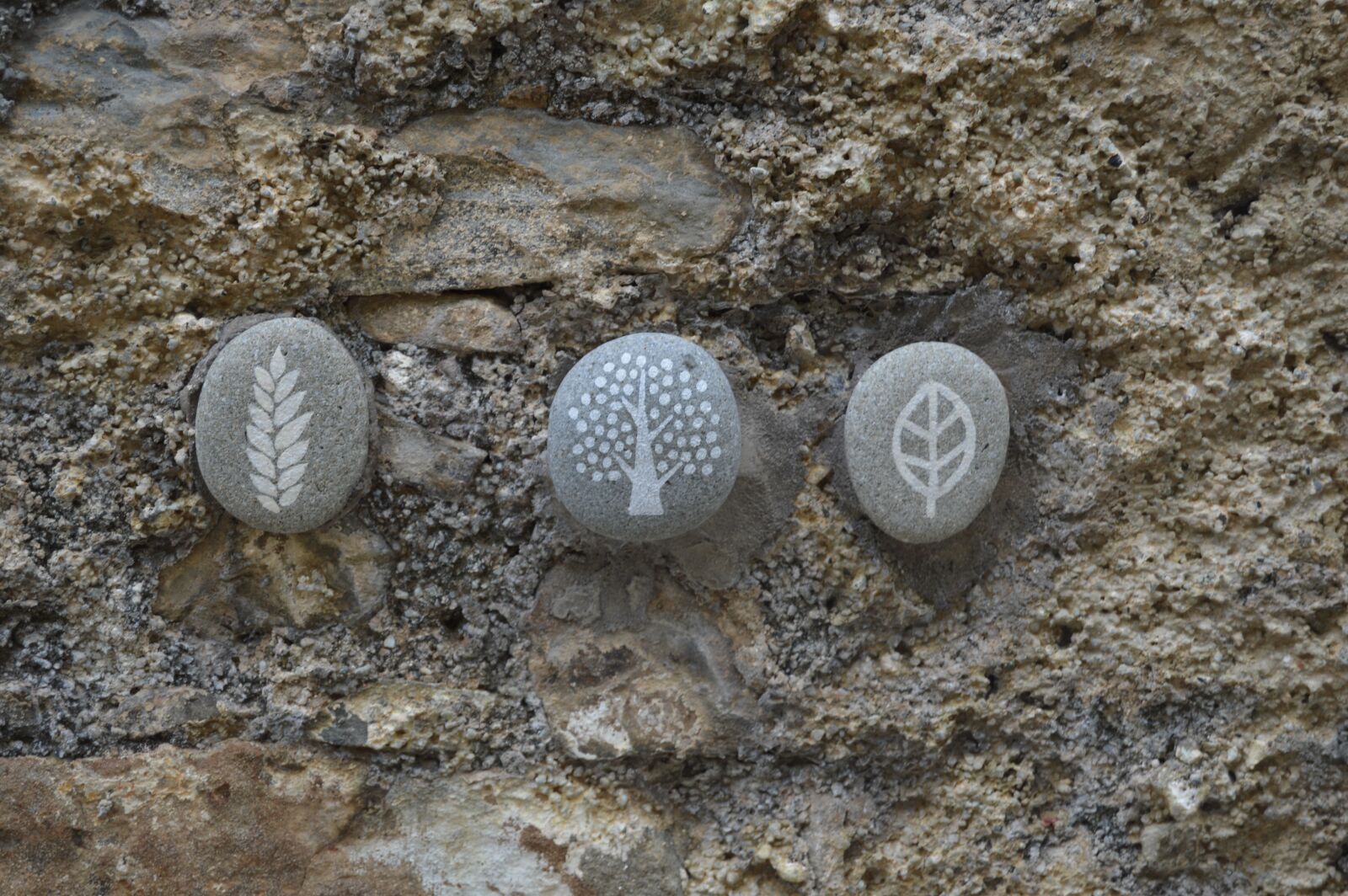 Nikon D3200 sample photo. Stone, wall, rock photography