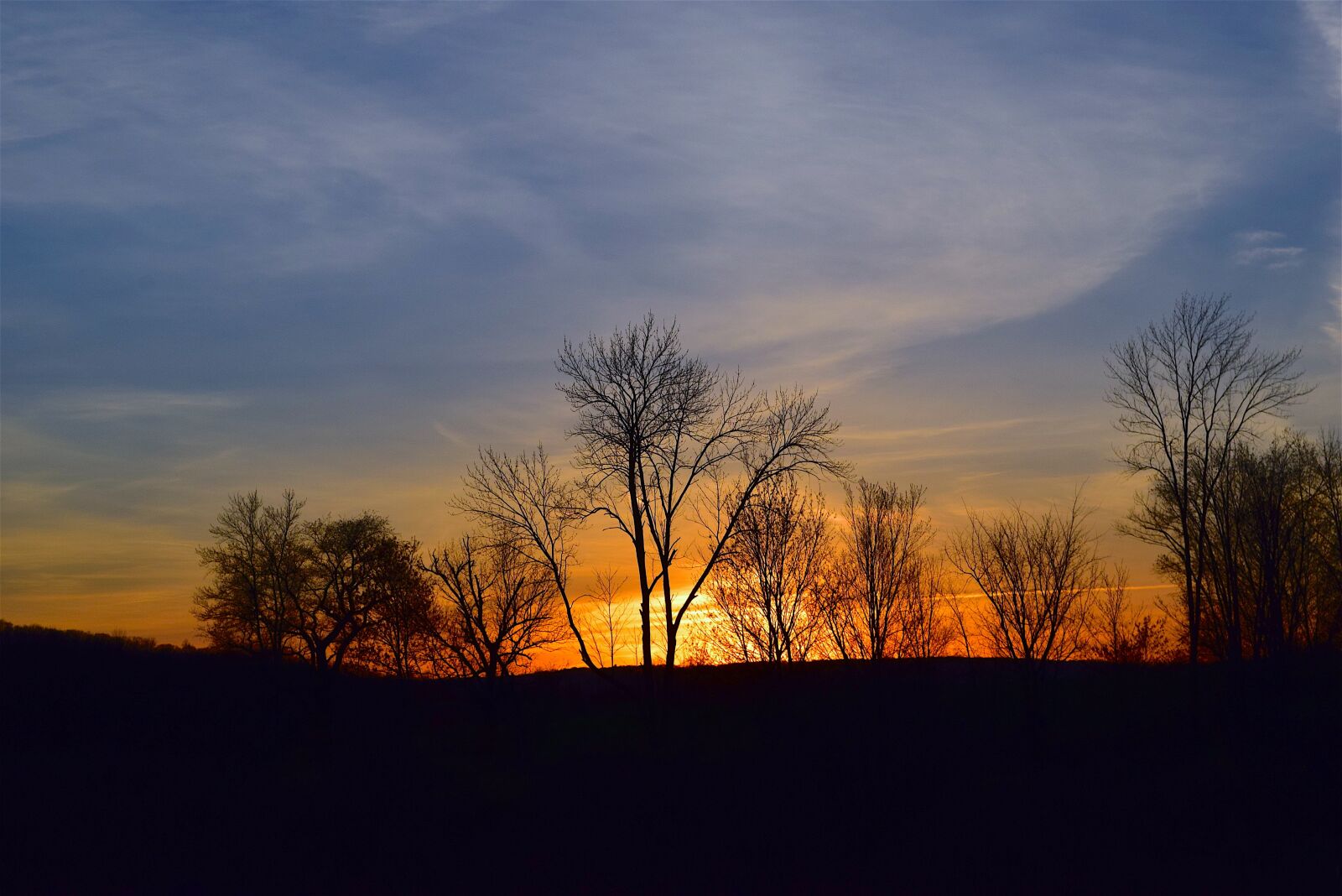 Nikon D3300 sample photo. Sunset, orange, light photography