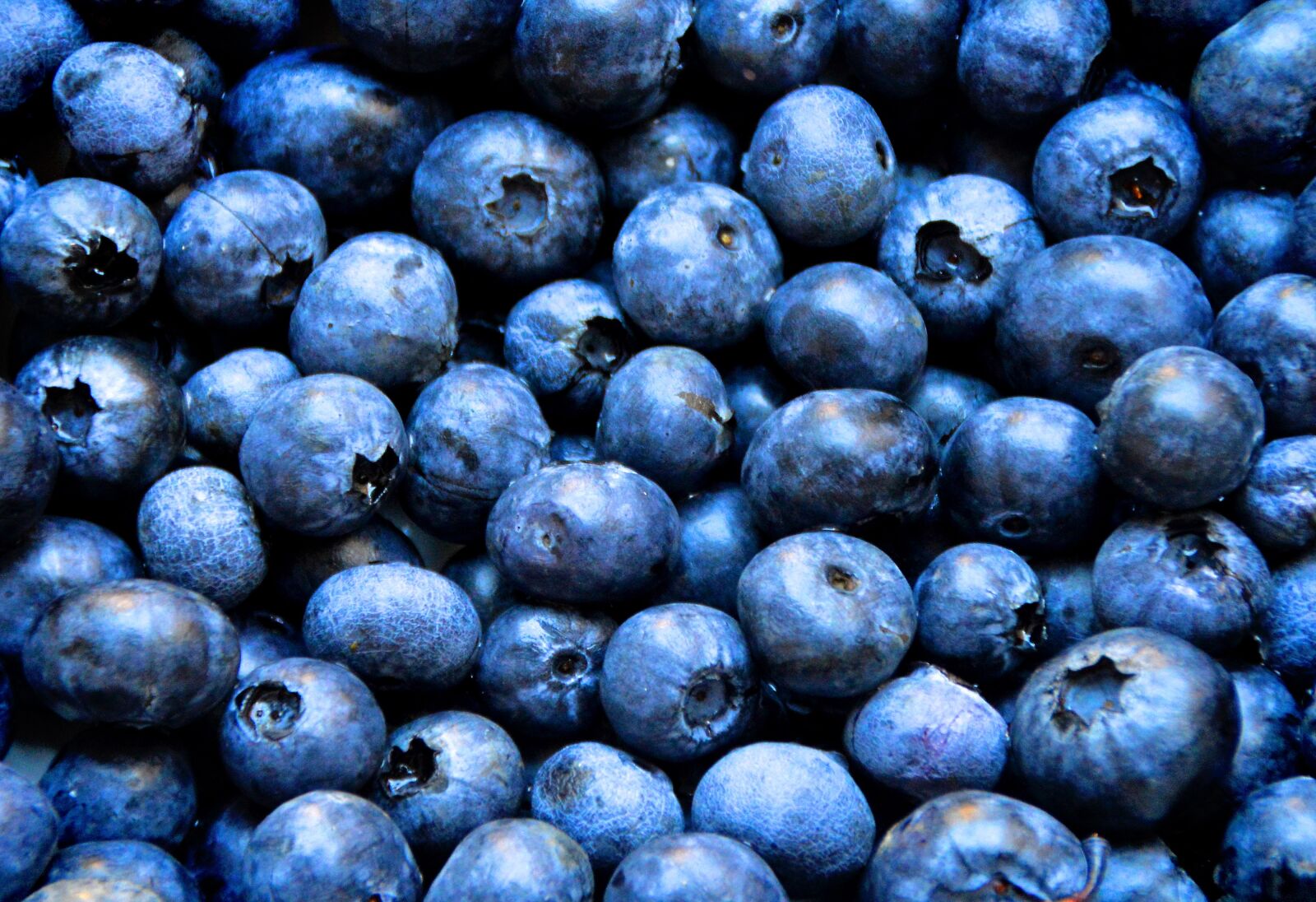 Nikon D3200 sample photo. Blueberries, breakfast, muesli photography