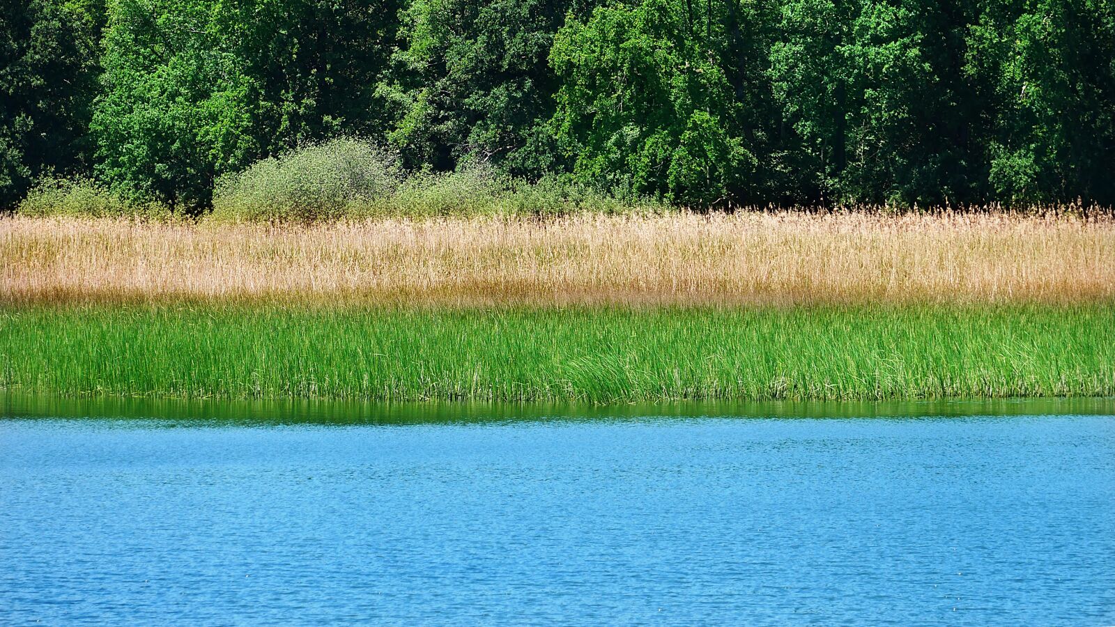 Panasonic Lumix DMC-GX85 (Lumix DMC-GX80 / Lumix DMC-GX7 Mark II) sample photo. River, bank, summer photography