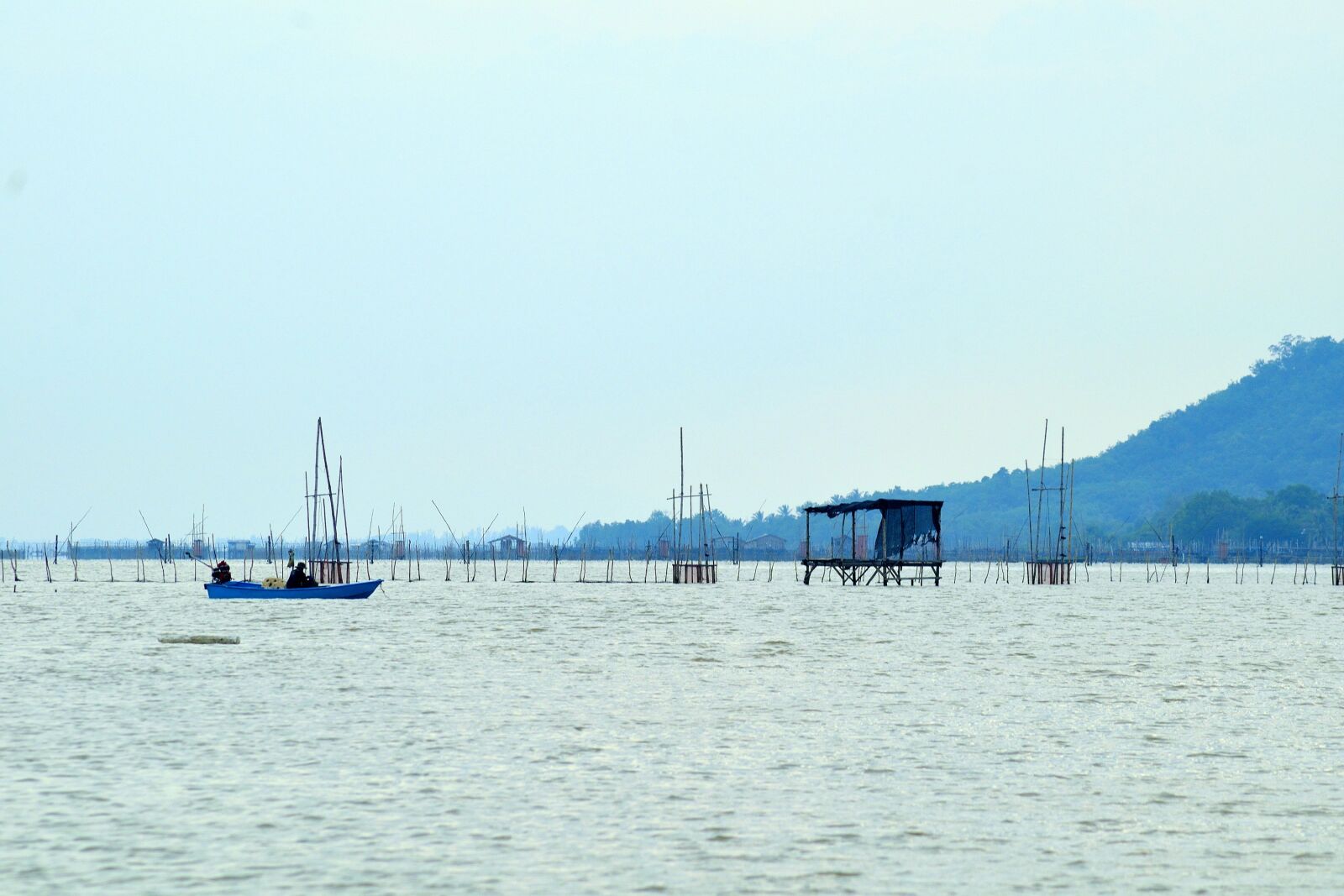 Nikon D5300 sample photo. Asia, asian, blue photography