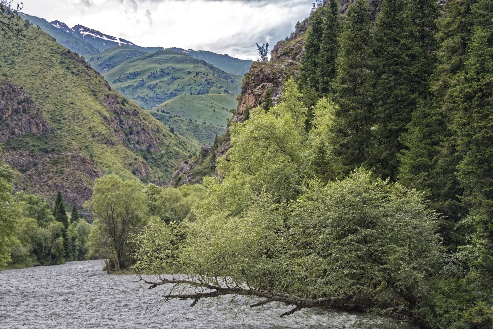 Nikon D500 sample photo. Kyrgyzstan, chychkan river, tschytschkan photography