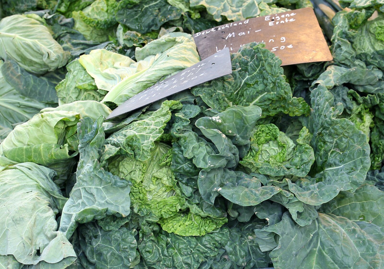 Canon EOS 550D (EOS Rebel T2i / EOS Kiss X4) sample photo. Savoy, vegetables, healthy photography